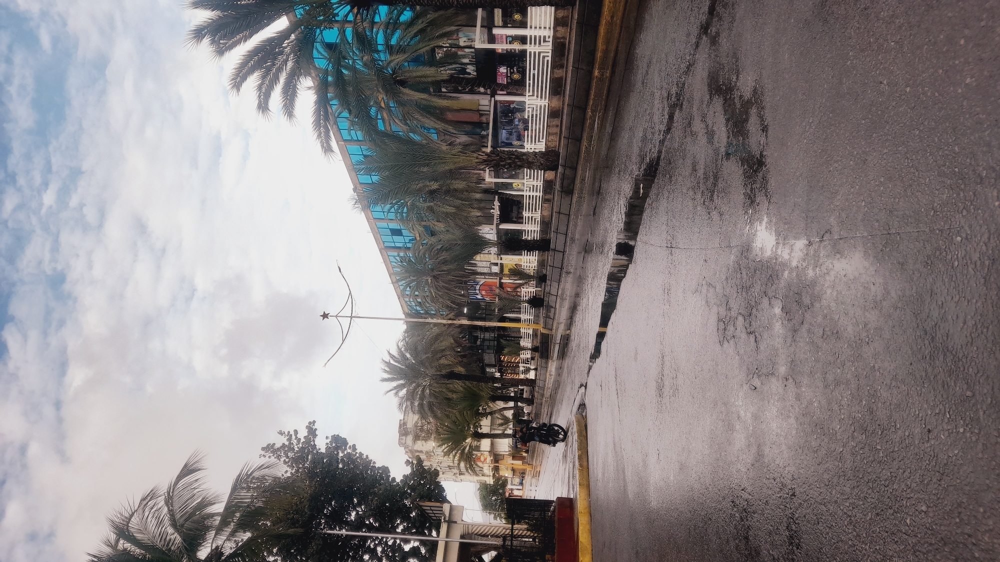 This media file captures a scene in Juan Griego, Venezuela, likely during the daytime. The weather appears to be overcast and the street is wet, suggesting recent or ongoing rain, with visible puddles reflecting the surroundings. The image is oriented vertically, giving a sense of looking upwards or from a low angle.
The scene depicts a street lined with palm trees and a modern building with a blue glass facade. The building appears to be a commercial establishment, with visible storefronts and signage, although much of the text is illegible due to the image quality and angle. Among the palm trees, a streetlight with a star-shaped adornment is visible. In the foreground, the wet asphalt road dominates the lower half of the frame, showing cracks and reflections. A motorcycle is parked on the side of the road, partially obscured by palm fronds. In the background, other buildings, some appearing older and more traditional, can be seen.
The overall mood of the image is somewhat subdued, possibly due to the cloudy weather and wet conditions. The focus is on the urban landscape, blending natural elements like palm trees with man-made structures. There are no people clearly visible in the image, and the primary objects are the building, trees, road, and motorcycle. The scene conveys a sense of an ordinary day in this coastal Venezuelan town.