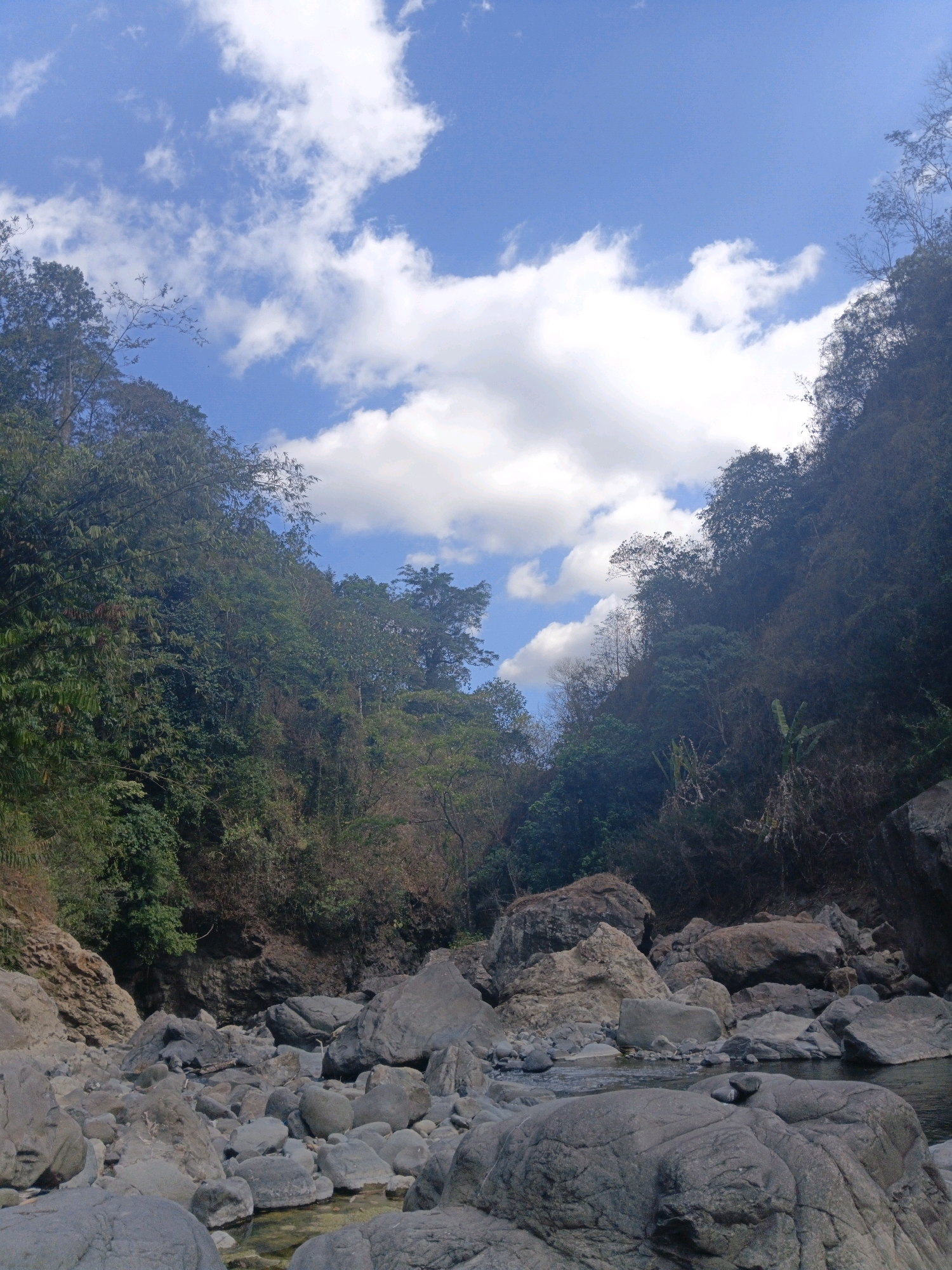 A wide shot captures a rocky riverbed with a river flowing in the foreground, leading towards a forested valley. The sky above is a bright blue with scattered white clouds. The valley walls are densely covered with trees and vegetation. The riverbed is filled with numerous large, grey rocks of varying sizes, and some smaller pebbles. The water in the river is clear and shallow, reflecting the sky and surrounding rocks. The scene appears to be a natural landscape, likely a river in a tropical or subtropical region. There are no people or man-made structures visible in the image.