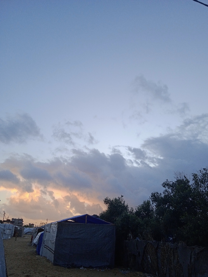 A dusk sky filled with grey and orange-tinted clouds overlooks a refugee camp. Makeshift tents, constructed from tarps and other materials, line a sandy ground. Trees provide a backdrop, adding to the scene of temporary shelter. The lighting suggests either sunrise or sunset, casting a soft glow on the horizon. A sparse population adds to the image.
