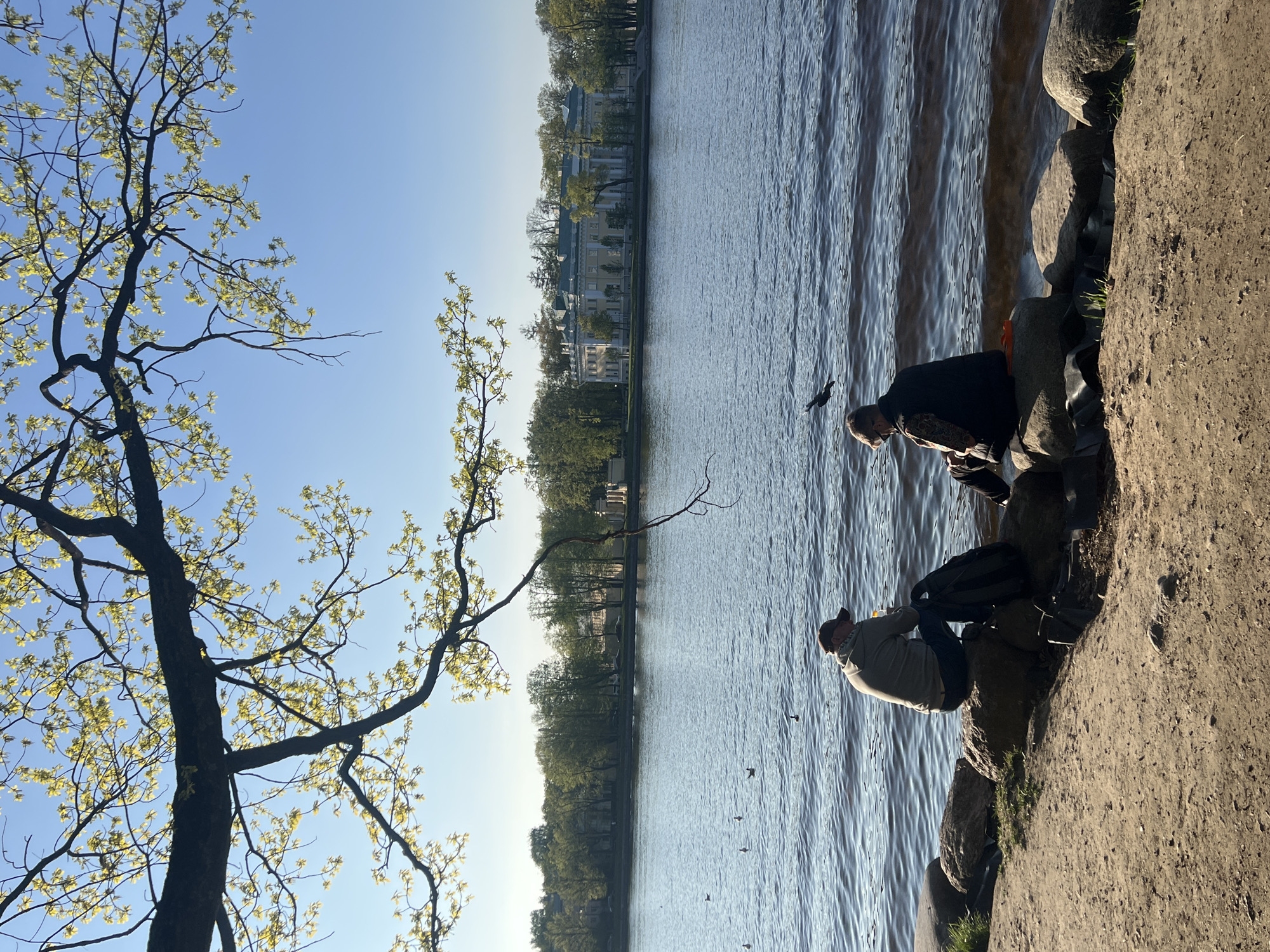Two people are sitting on the edge of a rocky shore next to a body of water. One person is wearing a dark jacket and the other is wearing a light-colored jacket. There are trees and buildings across the water on the opposite shore. The water is calm with ripples and reflections. A tree with budding leaves is on the left side of the image. There are some birds flying around.
Based on the architecture of the building across the water, this photograph depicts the shores near Elagin Island in the city of Saint Petersburg, Russia.
