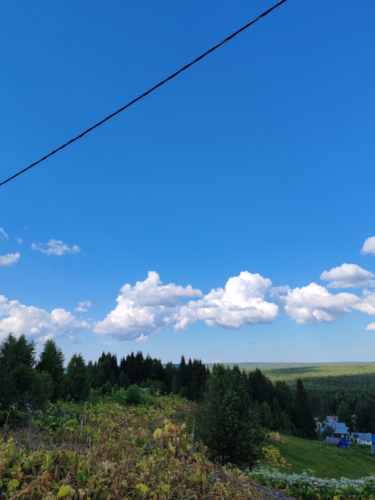 The image shows a vast, clear blue sky with a thin, black power line diagonally stretching across the upper portion of the frame. White, fluffy cumulus clouds are scattered across the lower half of the sky. Below the sky, a dense, dark green forest stretches to the horizon. In the foreground, there is a grassy slope with some wild vegetation and a few small buildings with blue and gray roofs visible on the right side of the slope. The scene appears to be a rural landscape, likely in the city of Chuchlem, Russia, on a bright, sunny day.