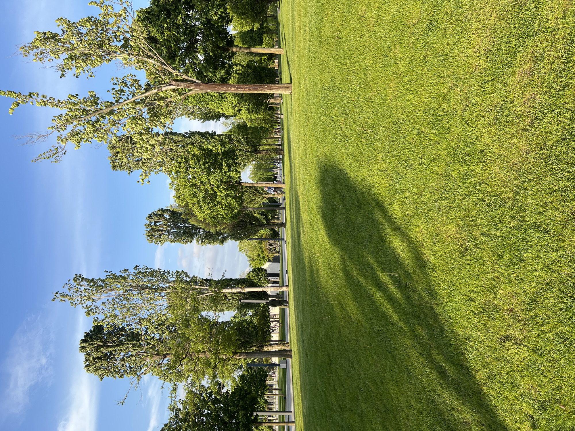 A view of a park in Krasnodar, Russia features neatly cut green grass, trees lining the edge of the field, and a blue sky with light clouds. The scene presents an open expanse of manicured lawn, bordered by a series of mature trees. Shadows of the trees are cast across the grass. The lighting indicates daytime conditions.