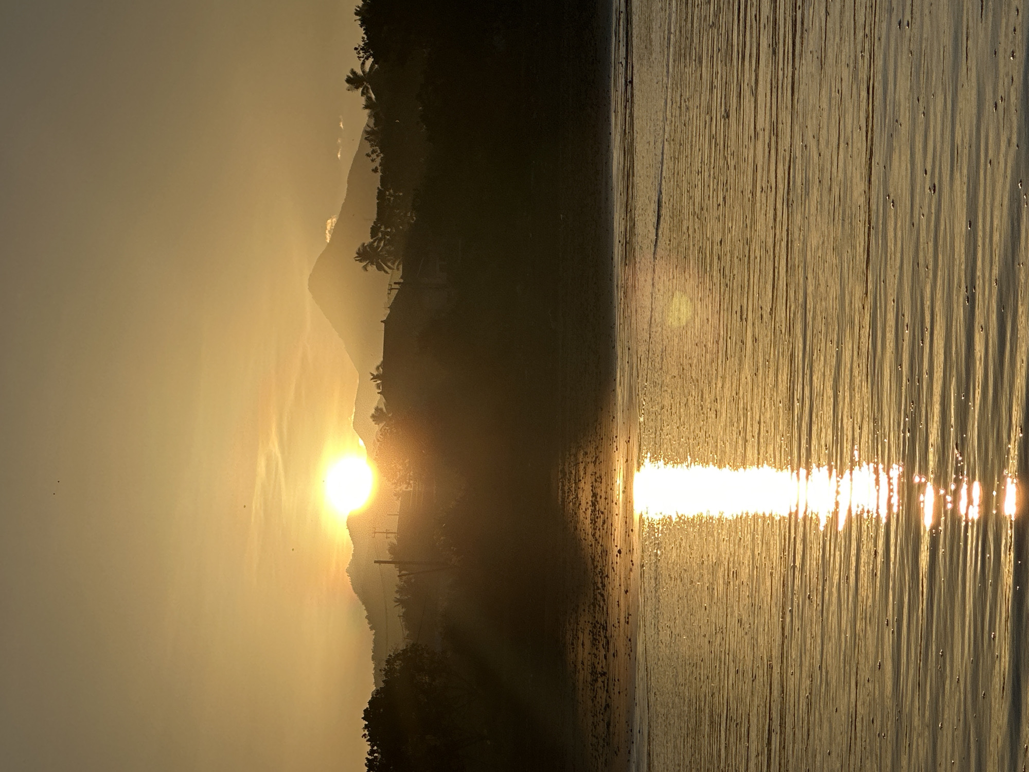 The image shows a sunrise or sunset scene in Mendoyo, Indonesia. The sun is positioned near the horizon, partially obscured by mountains or hills. Silhouette of palm trees and other vegetation is visible along the terrain. The sky is filled with a warm, golden hue. The water reflects sunlight, creating a sparkling effect. The horizon line is slightly obscured by the land. In the foreground, a beach stretches to the edge of the water. A narrow band of land, possibly a beach, is visible between the water and the vegetation. There are power lines in the distance.