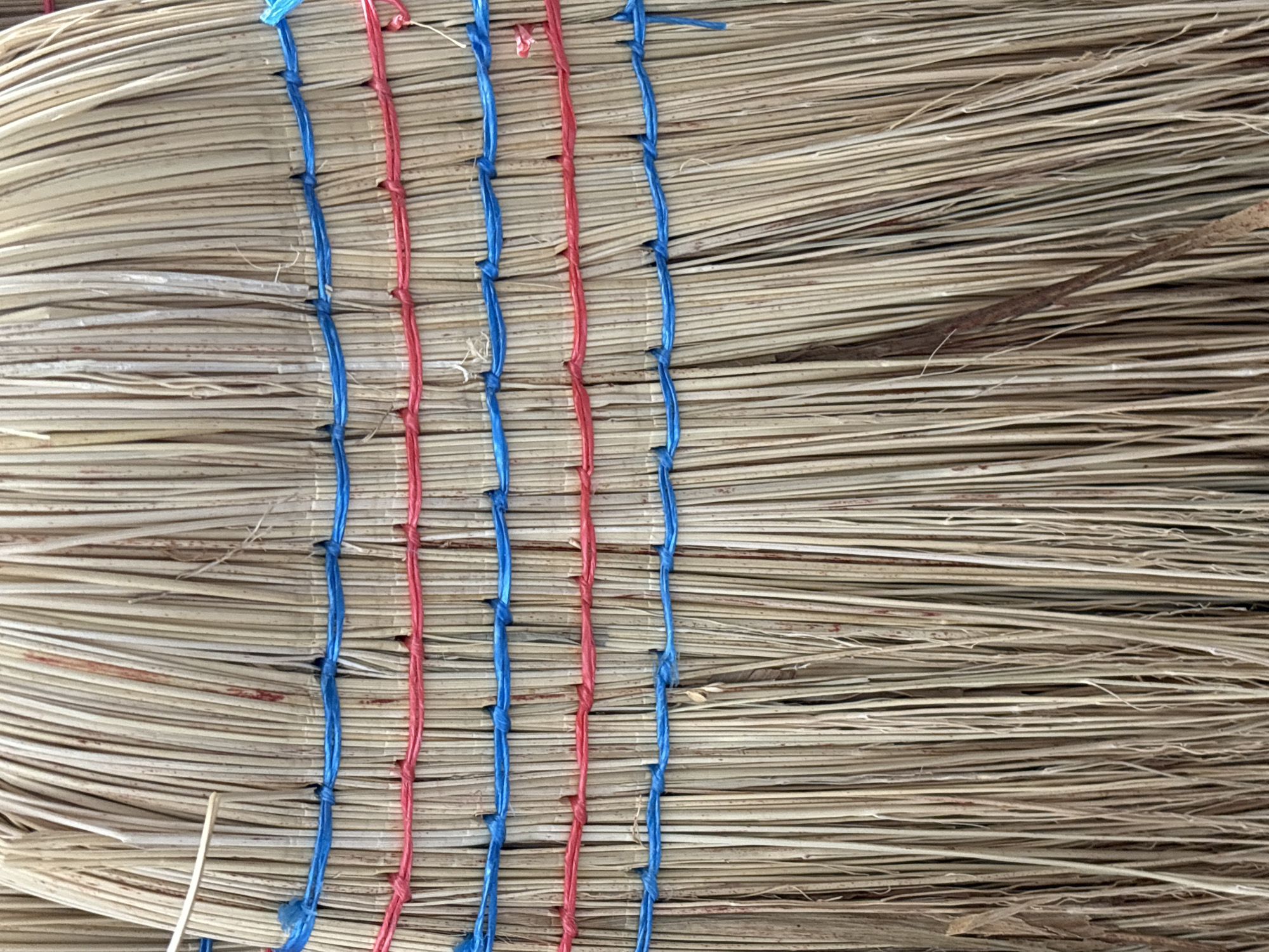 This media file presents a close-up, overhead view of a bound bundle of dry, straw-like material, likely broomcorn or a similar dried grass. The material is tightly packed and arranged horizontally, with individual strands clearly visible. Running vertically across the bundle are several strands of brightly colored twine, alternating between red and blue. These strings are knotted at intervals, securing the bundle and creating a textured pattern. The overall color palette is muted, dominated by the beige and tan tones of the dried material, with pops of red and blue from the twine. There are no people, specific activities, or discernible location cues beyond the material itself. The lighting appears even, suggesting it was taken in daylight, but no specific time of day or weather conditions can be determined. No text is visible in the image. The image focuses entirely on the texture and construction of this bundled material.
