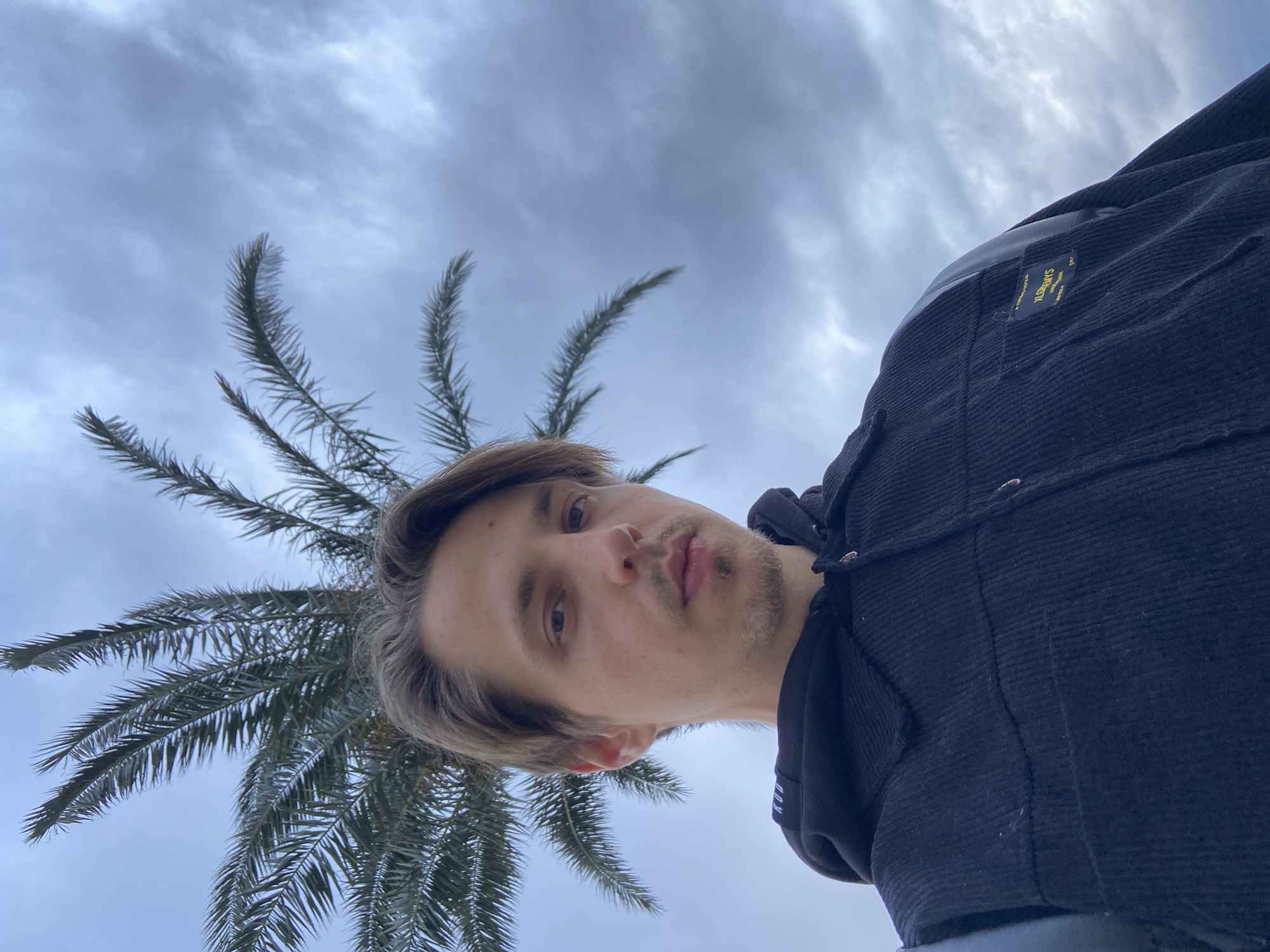 The image is a low-angle portrait of a young man, likely taken as a selfie, set outdoors against an overcast sky. The man, in his late teens or early twenties, has light brown hair, blue eyes, and light stubble on his face. He looks directly at the camera with a neutral expression. He is wearing a dark, possibly black or navy blue, corduroy jacket or shirt. A small yellow label is visible on the upper left chest area of his jacket, clearly displaying the text "KLOONYS".
Behind the man and to his left, a palm tree with several prominent fronds is visible, extending into the upper left quadrant of the frame. The background is dominated by a cloudy, grey sky, indicating an overcast day. The lighting is soft and diffused, characteristic of daytime without direct sunlight. The presence of the palm tree suggests a warm or Mediterranean climate, consistent with the location context of Bar, Montenegro. The man is not engaged in any specific activity other than posing for the photograph.