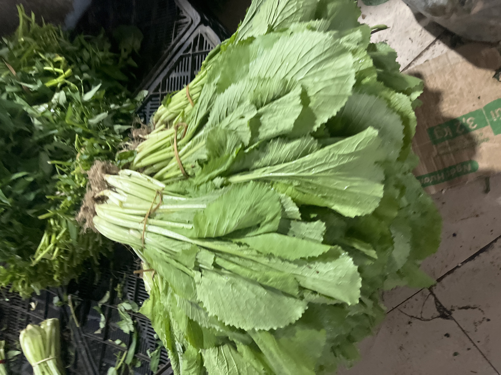 The image displays a bustling scene at a market stall in Bac Nha Trang Ward, Vietnam, featuring an abundance of fresh, leafy green vegetables. The lighting suggests it is either early morning or evening, typical market hours.
The primary subjects are large bundles of bright green, broad-leafed vegetables, likely a variety of mustard greens (cải xanh) or similar Asian greens. These substantial bundles are neatly tied together with natural twine or rubber bands, indicating they are prepared for sale. Their leaves appear fresh and slightly crinkled, showcasing their natural texture.
To the left, another type of green vegetable is piled high in a black plastic crate. These greens have darker, narrower leaves, characteristic of water spinach (rau muống) or sweet potato leaves, which are staples in Vietnamese cuisine. More black plastic crates are visible, used for holding or transporting the produce.
In the background on the right, a brown cardboard box is partially visible, bearing green text. "3,2 KG" is clearly legible, indicating a weight or capacity. Other partially obscured text might include "net kg" and fragments of Vietnamese words. The ground beneath the produce appears to be a simple concrete or tiled surface, showing some wear and scattered market debris, reinforcing the authentic market setting. The overall scene depicts a vibrant selection of fresh produce ready for customers.