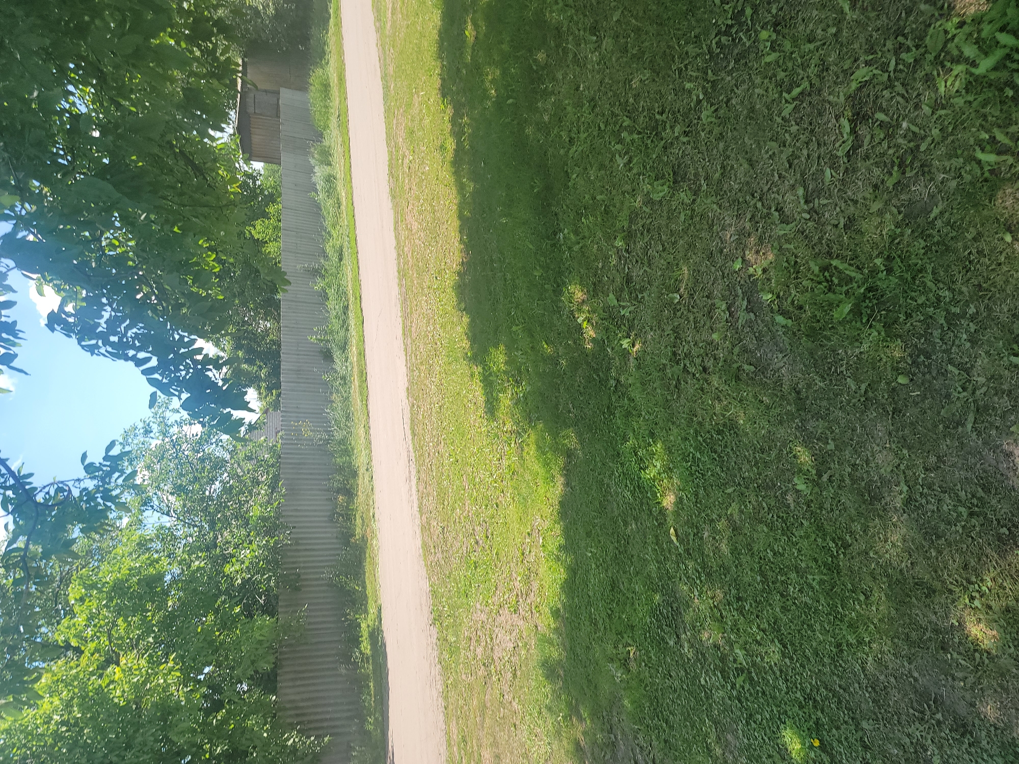 The image depicts a street scene in Vovkivka, Ukraine, on a sunny day. The foreground is dominated by a grassy area, partially shaded by trees whose leaves are visible in the upper portion of the frame. A paved road runs horizontally across the middle ground. Beyond the road, a corrugated metal fence stretches across the scene, with vegetation growing in front of it. In the background, a wooden structure, possibly a shed or small building, is visible to the right of the fence. The sky is blue with scattered clouds. There are no people or animals present in the image.
