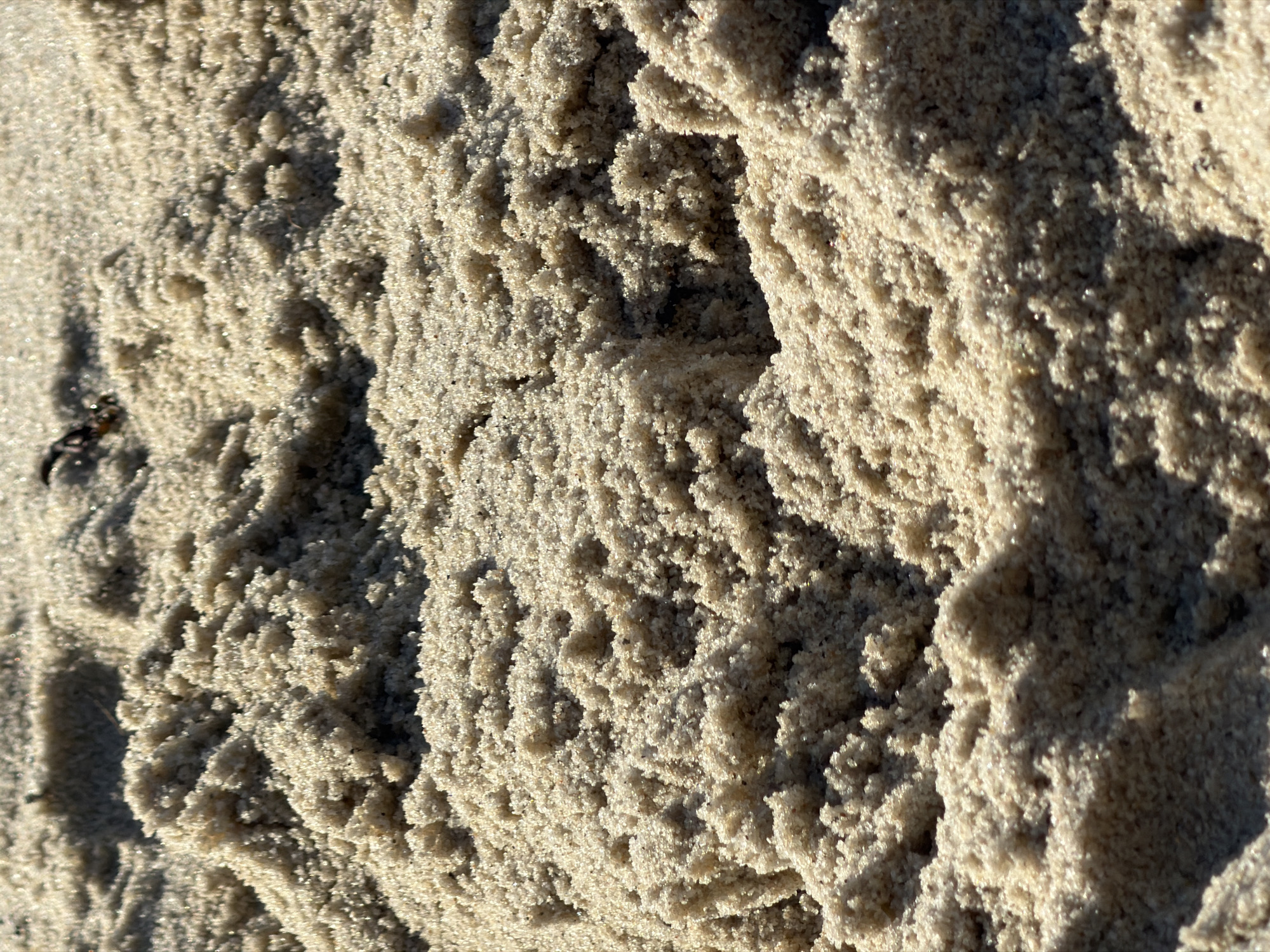 A close-up, high-angle shot of light-colored sand, likely at Dune Road beach in Hampton Bays, New York. The sand is textured with small, rounded grains and appears slightly damp, forming small ridges and depressions. Sunlight glints off the surfaces, highlighting the granular nature of the sand and casting subtle shadows. A small piece of dark debris, possibly seaweed or a dried leaf, is visible in the upper left portion of the frame. The scene is devoid of people or any other discernible objects, focusing solely on the natural texture and form of the sand.