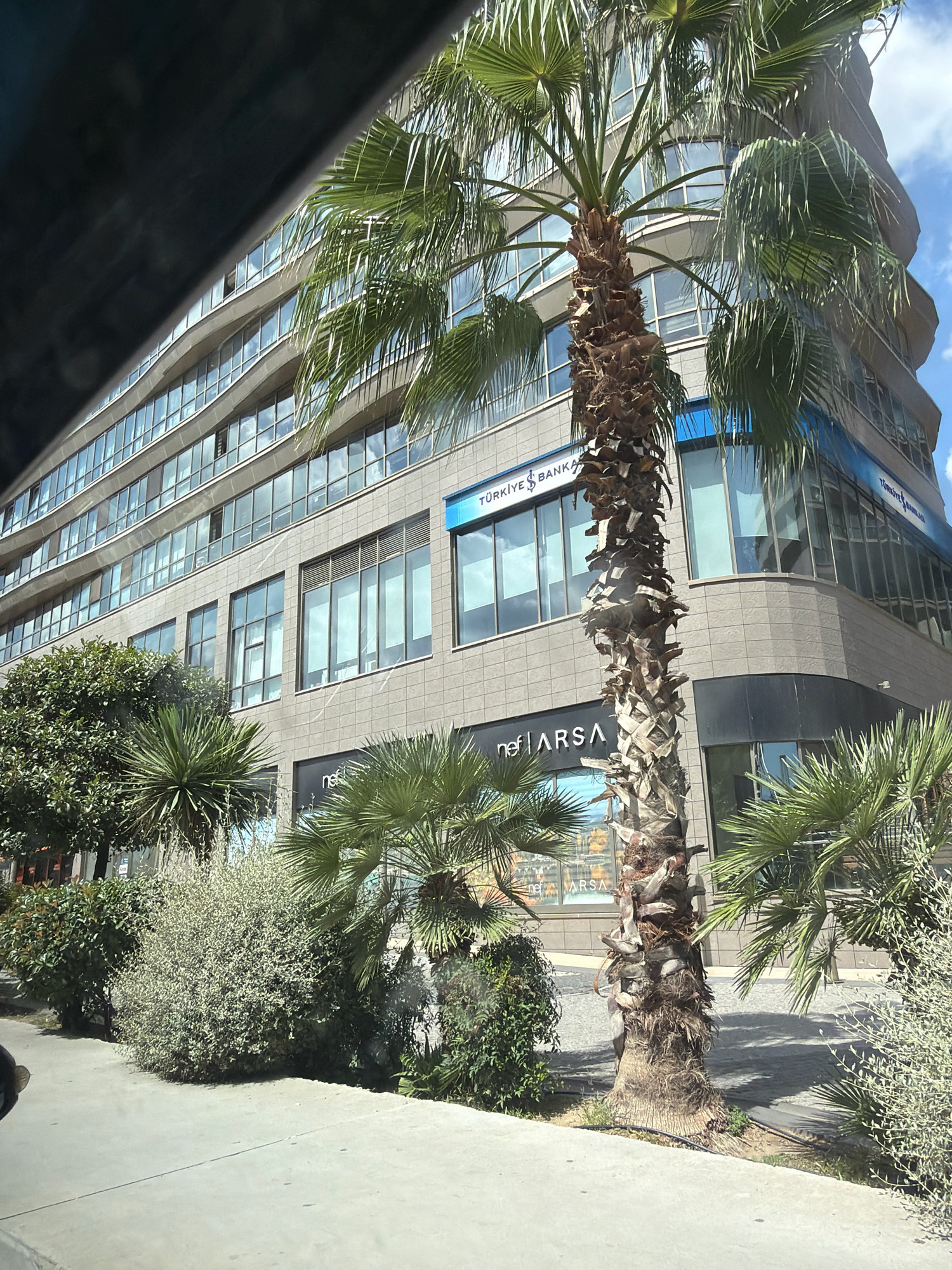 A modern, multi-story office building with a curved facade, clad in light-colored stone panels, stands under a blue sky with scattered clouds. The building features a grid of large, rectangular windows that reflect the sky and surrounding greenery. Prominently displayed on the building's facade are signage for "TÜRKİYE BANKASI" and "nef ARSA". In the foreground, a tall palm tree with a rough, fibrous trunk and lush green fronds partially obscures the view of the building. Smaller palm trees and various types of bushes and green foliage are situated along the sidewalk in front of the building, creating a landscaped urban environment. The ground is paved with a light-colored concrete walkway adjacent to a cobblestone pathway. The scene appears to be a street-level view, possibly taken from a vehicle, in the Bakırköy district of Istanbul, Turkey.