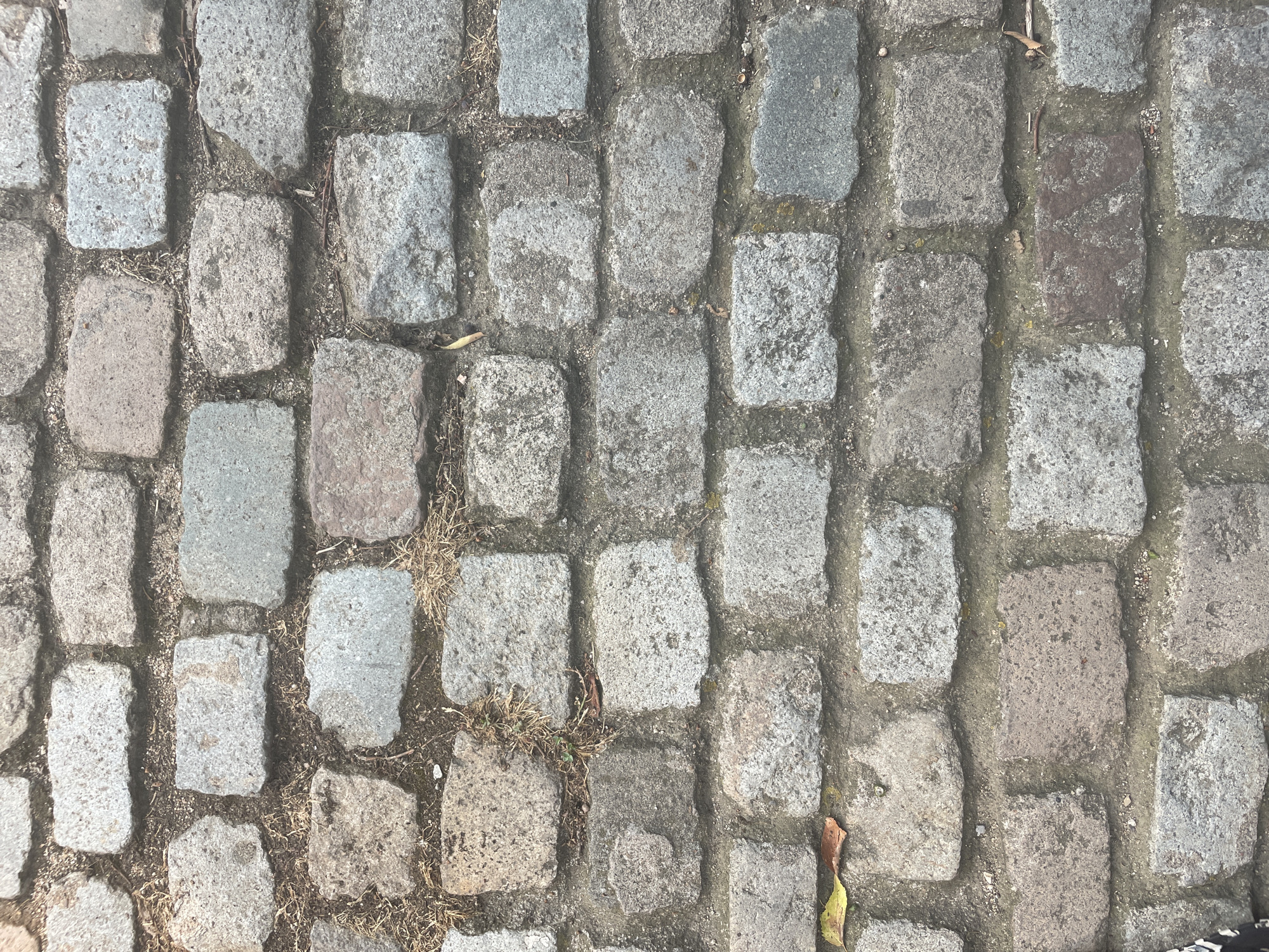 The image shows a close-up, overhead view of a cobblestone street surface in Girona, Spain. The cobblestones are rectangular and of varying sizes and shades of grey, with some appearing pinkish-brown. They are laid in an irregular pattern with sand and small pieces of dried grass filling the gaps between them. There are no people or animals visible in the image. The lighting suggests it is daytime.