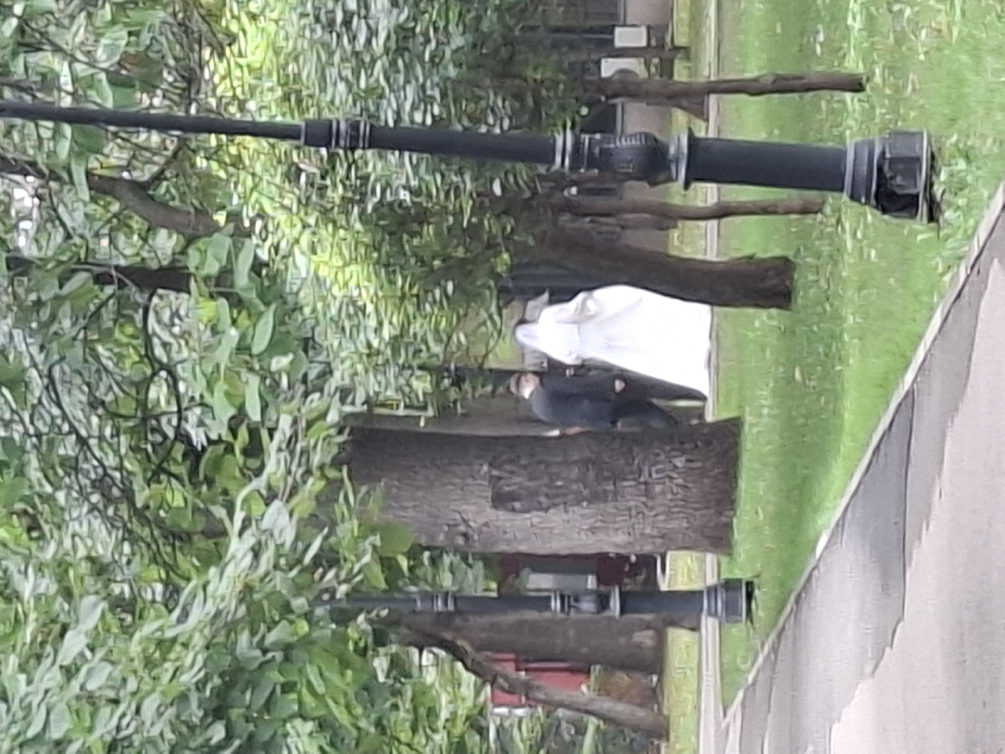Two individuals, one in a white wedding dress and veil, and another in a dark suit and hat, walk away from the camera through a park. The park has lush green grass and several mature trees with dense foliage. A paved pathway runs along the left side of the image, bordered by a strip of green grass. Two black lampposts are visible, one in the foreground on the right and another further back on the left. The lamppost in the foreground has a decorative base and top. The background features more trees and some distant buildings. The lighting suggests an overcast day. The location appears to be a public park within Almaty, Kazakhstan, potentially a popular spot for wedding photography.