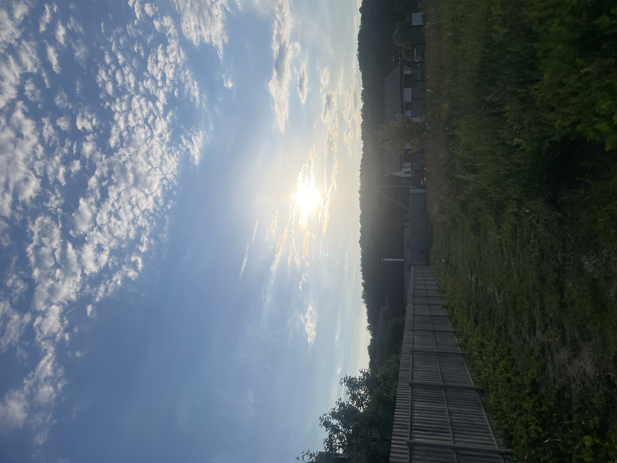 The image depicts a rural or semi-rural landscape in Petrivka, Ukraine, under a bright, partly cloudy sky. The sun is prominently visible in the upper-middle portion, casting strong rays and creating a luminous effect. The sky is a clear blue, populated by numerous small, white cumulus-type clouds, particularly concentrated on the upper right.
In the midground, a dense line of green trees forms a forested horizon. Below this treeline, two residential structures are visible on the right. The most prominent is a single-story house with a dark gabled roof and light-colored walls, partially obscured by a lower fence or vegetation. A tall, thin, light-colored pipe, possibly a chimney, extends vertically near the houses.
A long, corrugated metal fence, light gray in color, runs diagonally from the lower left corner towards the mid-right, acting as a boundary. Behind this fence on the left, additional green trees are visible. The foreground consists of an uncultivated field of green grasses and weeds. A narrow, unpaved dirt path parallels the fence in the immediate foreground, showing patches of bare earth and sparse vegetation. No people or animals are present in the scene, and no specific actions are occurring. The overall lighting suggests either early morning or late afternoon.