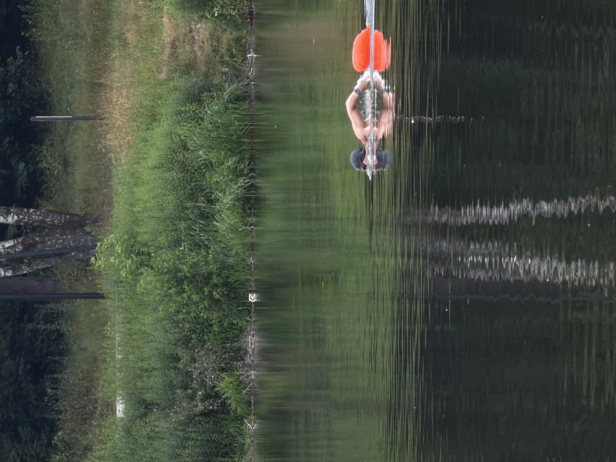An individual is swimming in a body of water, likely a river or lake, in Malakhovka, Russia. The swimmer, wearing a dark cap, is in a horizontal swimming position, with their right arm extended forward and their left arm visible mid-stroke. An orange float is tethered to their waist and trails behind them. The water is calm with visible ripples, and reflections of the surrounding greenery and trees are present on the surface. The background consists of dense vegetation and trees, with a visible tree trunk on the left and a tall, thin post on the right. The overall environment appears natural and somewhat undeveloped.
