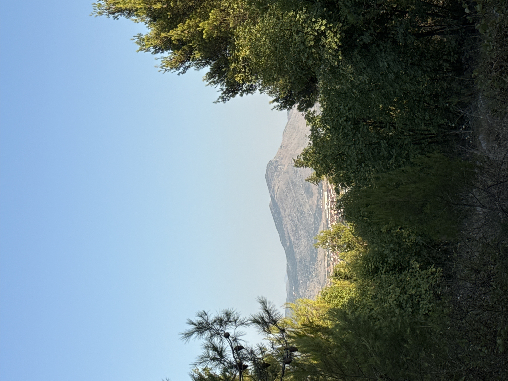 A natural landscape scene shows a clear blue sky above a distant mountain range. In the foreground, dense green trees and foliage frame the view, with pine trees on the left and mixed deciduous trees on the right. A small town with red-tiled roofs is visible nestled in the valley between the foreground trees and the mountain range. The lighting suggests it is daytime, likely morning or late afternoon, given the soft light and shadows. The scene is static and depicts a peaceful, rural or semi-rural environment.