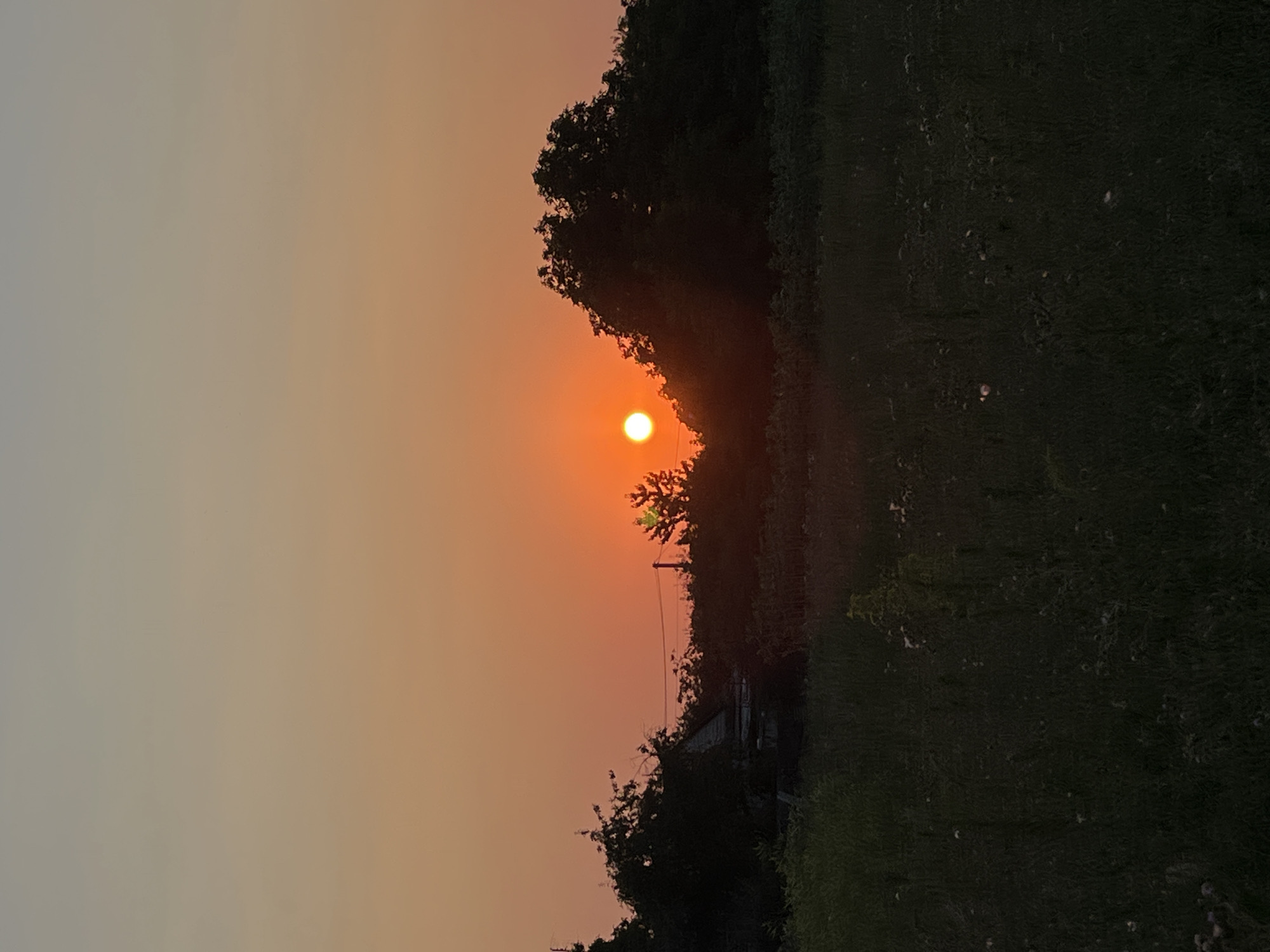 The image depicts a sunset over a rural landscape. A bright orange sun is visible in the sky, low on the horizon and partially obscured by trees. The sky is a gradient of orange and yellow, transitioning to a lighter hue at the top of the frame. In the foreground, a field of dark green grass and wildflowers stretches across the lower portion of the image. Silhouetted against the sunset are dense trees and foliage, with a dark, angular structure that appears to be a small building or shed visible amongst the trees on the left side of the frame. Power lines are also faintly visible stretching across the scene. The overall impression is one of a serene, natural setting at dusk.