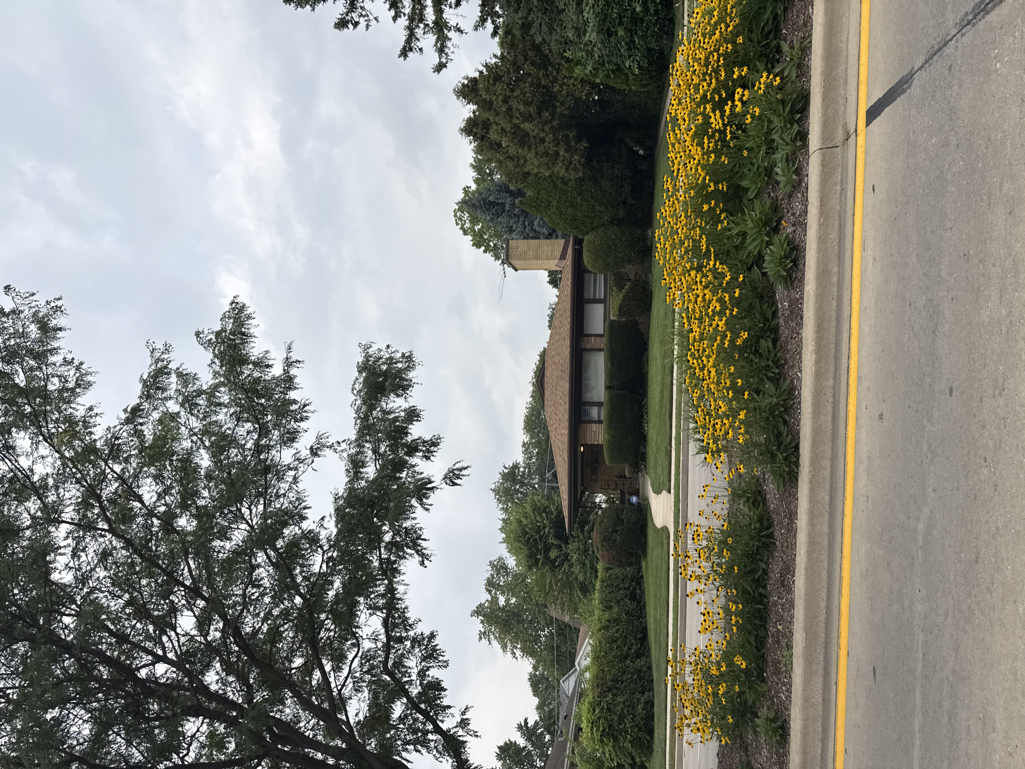 A low-angle, full shot captures a residential scene on an overcast day in Skokie, United States of America. In the foreground, a paved road with a single yellow line runs horizontally across the frame, separating it from a raised flowerbed teeming with bright yellow flowers. Behind the flowerbed, a manicured lawn leads to a modest, single-story brick house with a brown roof and a prominent brick chimney. The house is surrounded by lush green trees and hedges. A concrete sidewalk curves from the street to the front entrance of the house. The sky is filled with heavy, gray clouds.
