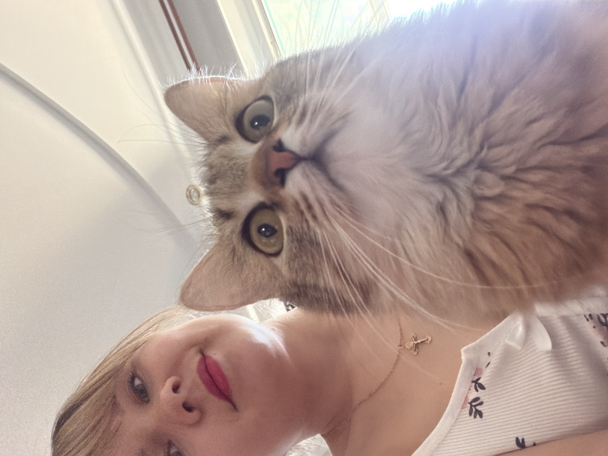 A light-skinned person with blonde hair and red lipstick is positioned in the lower left of the frame, facing the camera. Above them, filling the upper right quadrant, is a beige and white tabby cat with green-yellow eyes and a pink nose. The cat appears to be looking down at the person. The person is wearing a white top with a floral pattern and a gold necklace with a cross pendant. A window is visible in the background, suggesting an indoor setting. There is no information that allows for determination of the location in the city of Chaikovsky, Russia.