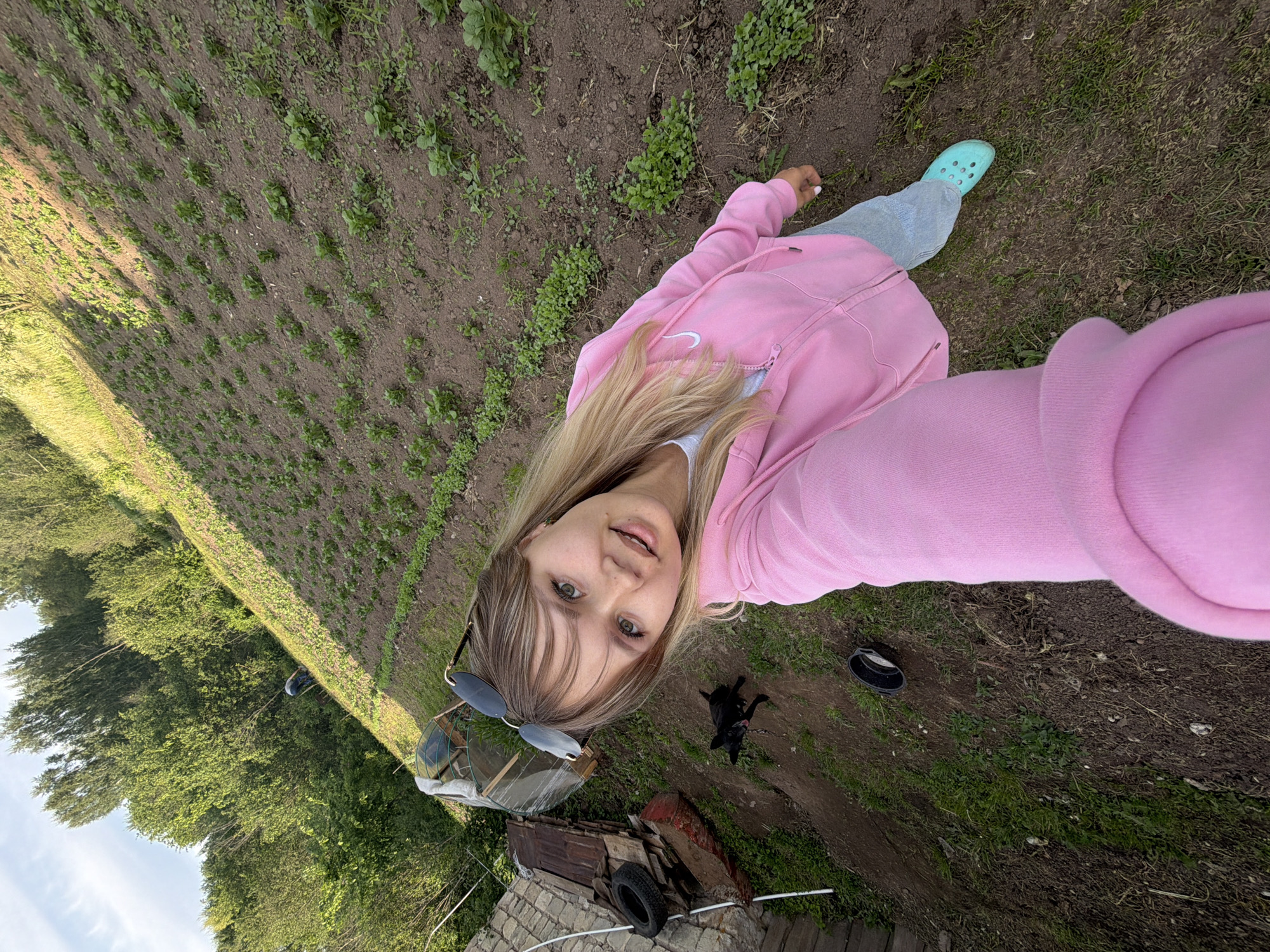 This image, taken in Чумна, Russia, shows a young woman taking a selfie in a rural, agricultural setting. The image is rotated on its side.
The main subject is a woman with long, light blonde hair, looking directly at the camera with a slight smile. She is wearing a bright pink zip-up hoodie featuring a white "Nike" logo on the chest, grey sweatpants, and light blue Crocs. A pair of dark-lensed sunglasses rests on top of her head.
The background reveals a cultivated field or garden with parallel rows of young green plants growing in dark brown soil, stretching into the distance. Beyond this cultivated area, a dense line of lush green trees is visible, suggesting a forest or treeline under a bright sky. Closer to the foreground, on a dirt path, a small black dog is seen sitting. Other objects in the scene include a black bowl on the ground, a rustic, possibly homemade, greenhouse-like structure, and an old, red-painted trailer or cart with a tire.
The activity taking place is a selfie, with the woman extending her arm to capture the shot. The time of day appears to be daytime, with clear weather indicated by the bright sky and natural lighting. The overall setting is clearly outdoors and agricultural, characterized by the planted rows, simple structures, and natural vegetation.