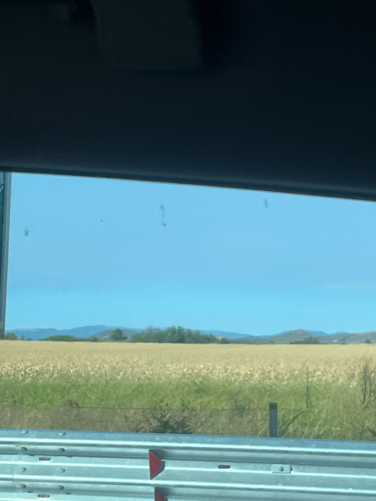 The image depicts a rural landscape viewed through a vehicle's windshield. In the foreground, a silver metal guardrail with red reflectors is visible. Beyond the guardrail lies a vast field of dry, golden crops, possibly wheat or corn, with a strip of green vegetation bordering it. In the distance, a line of trees and rolling hills under a clear blue sky can be seen. There are several blurry dark spots on the windshield, which are likely dust or water spots. The scene is tranquil and agrarian, with no discernible urban elements or specific geographical markers that would pinpoint its location within Saraia, Bulgaria.