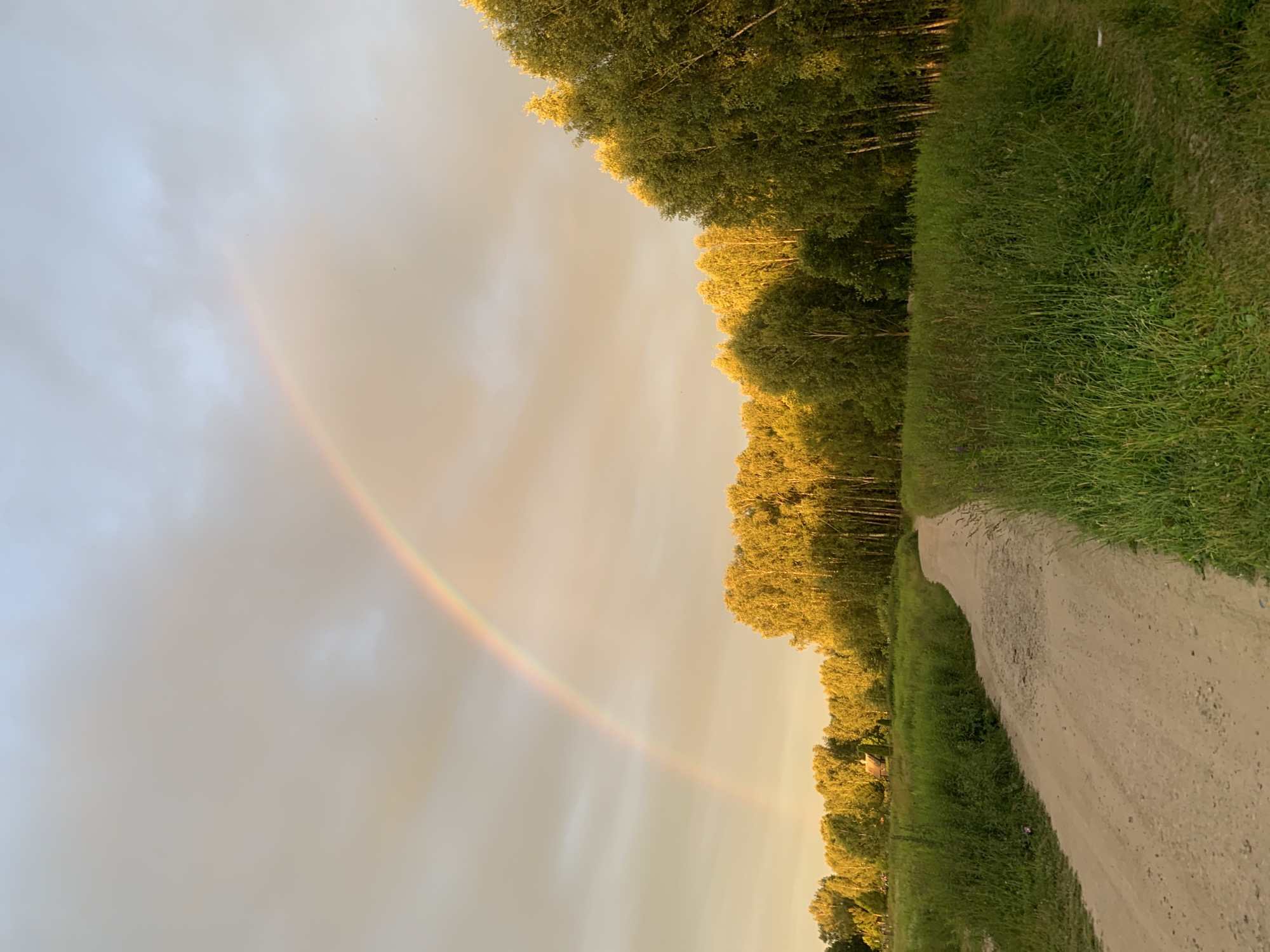 The image depicts a dirt road winding through a grassy field towards a dense forest. A vibrant rainbow arches across a pale, overcast sky, illuminated by warm, golden light, suggesting either sunrise or sunset. The trees on the edge of the forest are bathed in this light, their foliage appearing bright yellow-green. In the distance, on the left side of the road, a small, rustic building with a dark roof is visible amongst the trees. The environment is natural and rural, with tall grass lining the sides of the road. No people or animals are present in the scene. The location is identified as Lindo-Pustyn' (Kantaurovskii S/S), Russia.