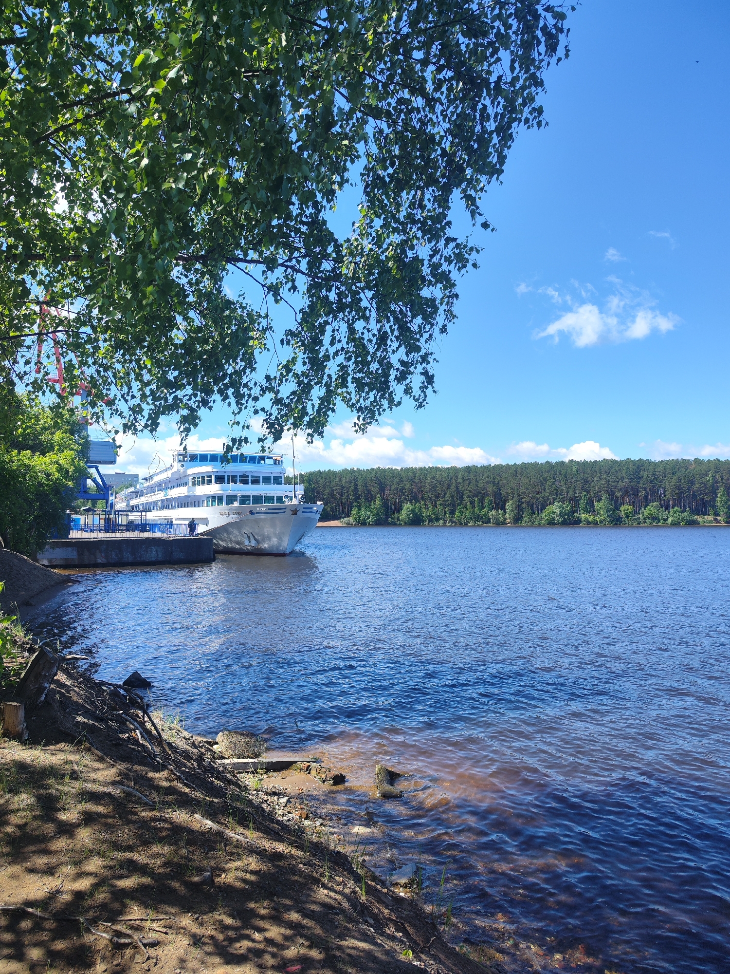 A wide, tranquil river dominates the scene, its surface reflecting the bright blue sky dotted with a few fluffy white clouds. The riverbank on the right is lined with a dense, dark green forest, its trees reaching towards the sky. In the foreground, a dirt and gravel shore slopes gently towards the water, partially shaded by the leaves of a large tree whose branches hang down from the left side of the frame. On the left, a large white passenger ship with multiple decks is docked at a pier. A person can be seen standing on the pier near the ship. The ship is equipped with a ramp leading onto the pier. The overall impression is one of a peaceful summer day by the water. This scene is located on the Kama River in the city of Chaikovsky, Russia.