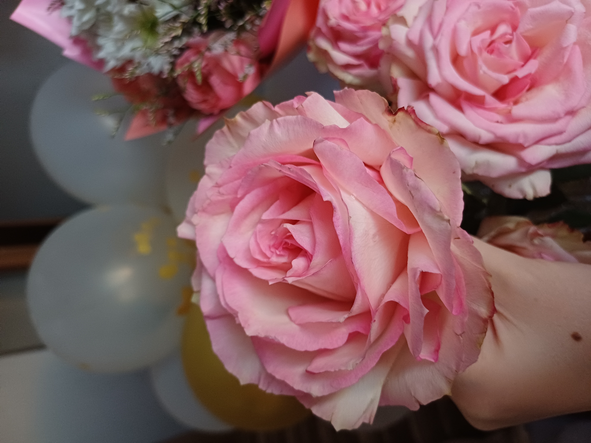 In this close-up shot, a delicate pink rose takes center stage, its petals unfurling in soft layers. Behind it, a bouquet of mixed flowers in shades of pink and white is partially visible, wrapped in pink paper. In the background, out-of-focus balloons in white and a muted yellow add a festive touch. The scene appears to be indoors, possibly a home or a venue, with soft lighting that enhances the rosy hues. The photographer's hand is visible in the lower left corner, holding the rose, suggesting a personal moment captured. There is a mole on the person's hand. The location is Unknown, Unknown.