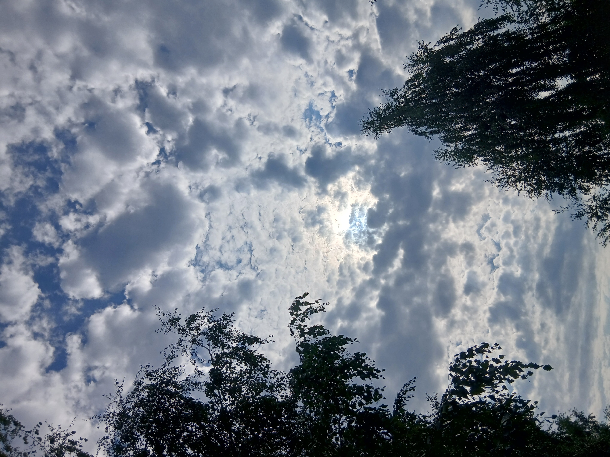 An outdoor, low-angle, full shot captures a daytime scene dominated by a cloudy sky and the silhouettes of trees. The sky is a mix of blues and grays, with scattered white clouds and patches of brighter blue. Sunlight peeks through a gap in the clouds in the center of the frame, casting a diffused glow. In the foreground, the dark silhouettes of two trees frame the sky. The tree on the left, which occupies the left third of the image, is closer to the viewer and its branches and leaves are clearly visible, hanging down towards the bottom. The tree on the right, which is thinner and taller, appears further away and is on the right side of the image, reaching upwards. The overall impression is one of natural beauty and a slightly overcast sky.