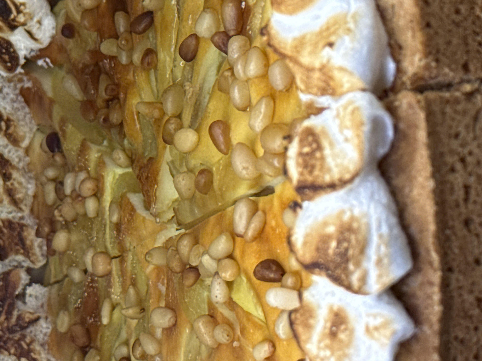 The image presents a close-up, top-down view of a dessert or sweet pastry. The central item is a golden-brown baked good, possibly a pastry or tart, which appears to have a slightly flaky or layered texture. This central element is generously adorned with numerous small, light-beige pine nuts, some of which are a slightly darker brown, suggesting they might be toasted.
On the right side of the main pastry, there are several irregular dollops of a white, fluffy substance, which has been toasted or brûléed on top, giving it a golden-brown, slightly charred appearance. These resemble marshmallows or meringue that have been torched. Adjacent to these toasted elements, on the far right, and partially visible on the far left, are sections of a light brown, porous material, consistent with graham crackers or a similar type of bread or biscuit.
The image focuses tightly on the food, presenting a detailed view of its textures and ingredients. No people are visible, nor is any specific activity taking place beyond the implied readiness for consumption. There are no discernible location cues, specific time of day, weather conditions, or visible text within the frame.