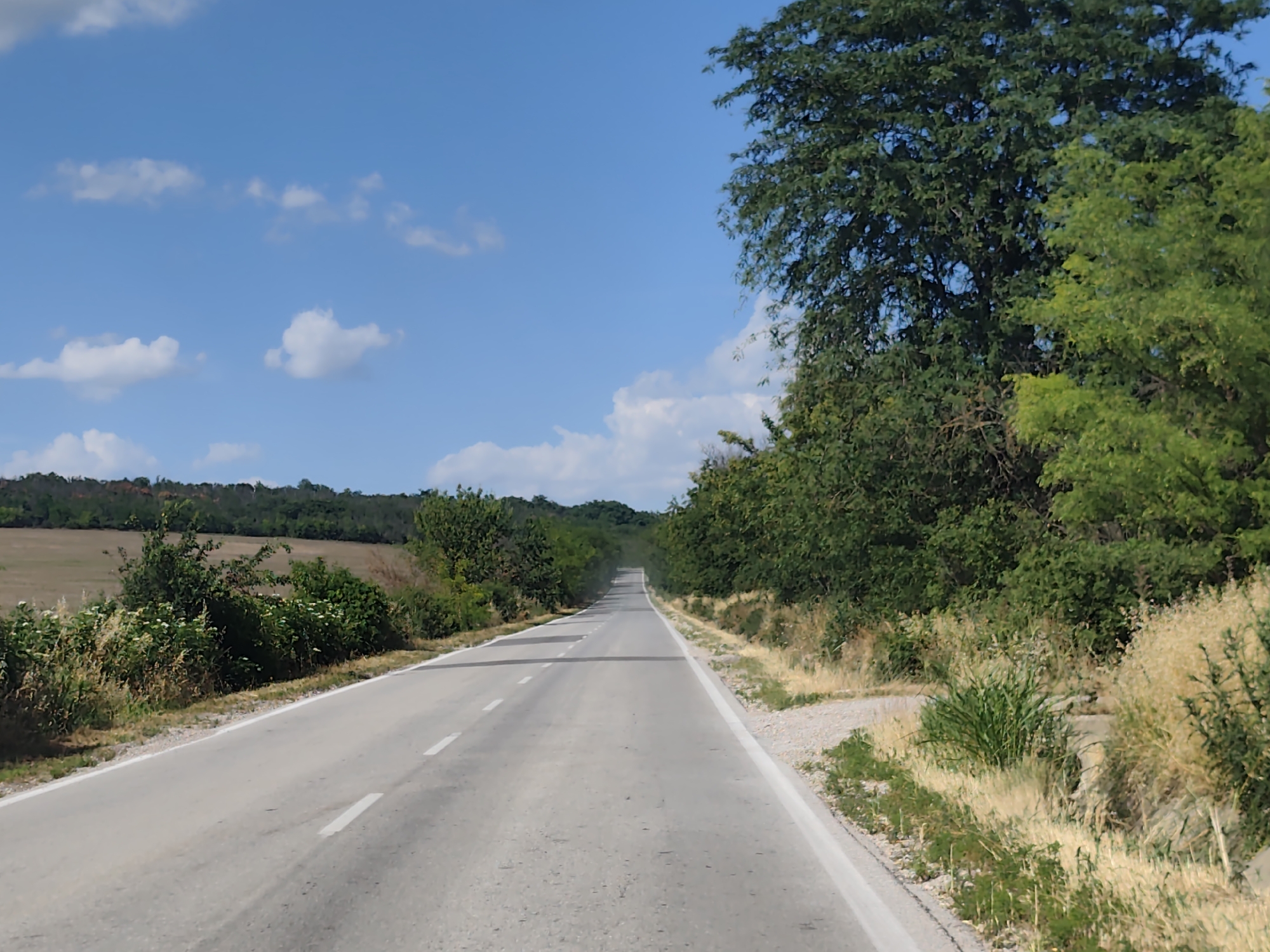 The image shows a two-lane asphalt road stretching into the distance, surrounded by vegetation and a clear blue sky with scattered clouds. The road appears to be in a rural setting. On the right side of the road, there is a dense line of green trees. On the left side, there are fields and more vegetation. The road is marked with white dashed lines in the center and solid white lines along the edges. The scene is captured on a sunny day, likely during the daytime. The context of Stejerovo, Bulgaria is not visually discernible from the image itself.