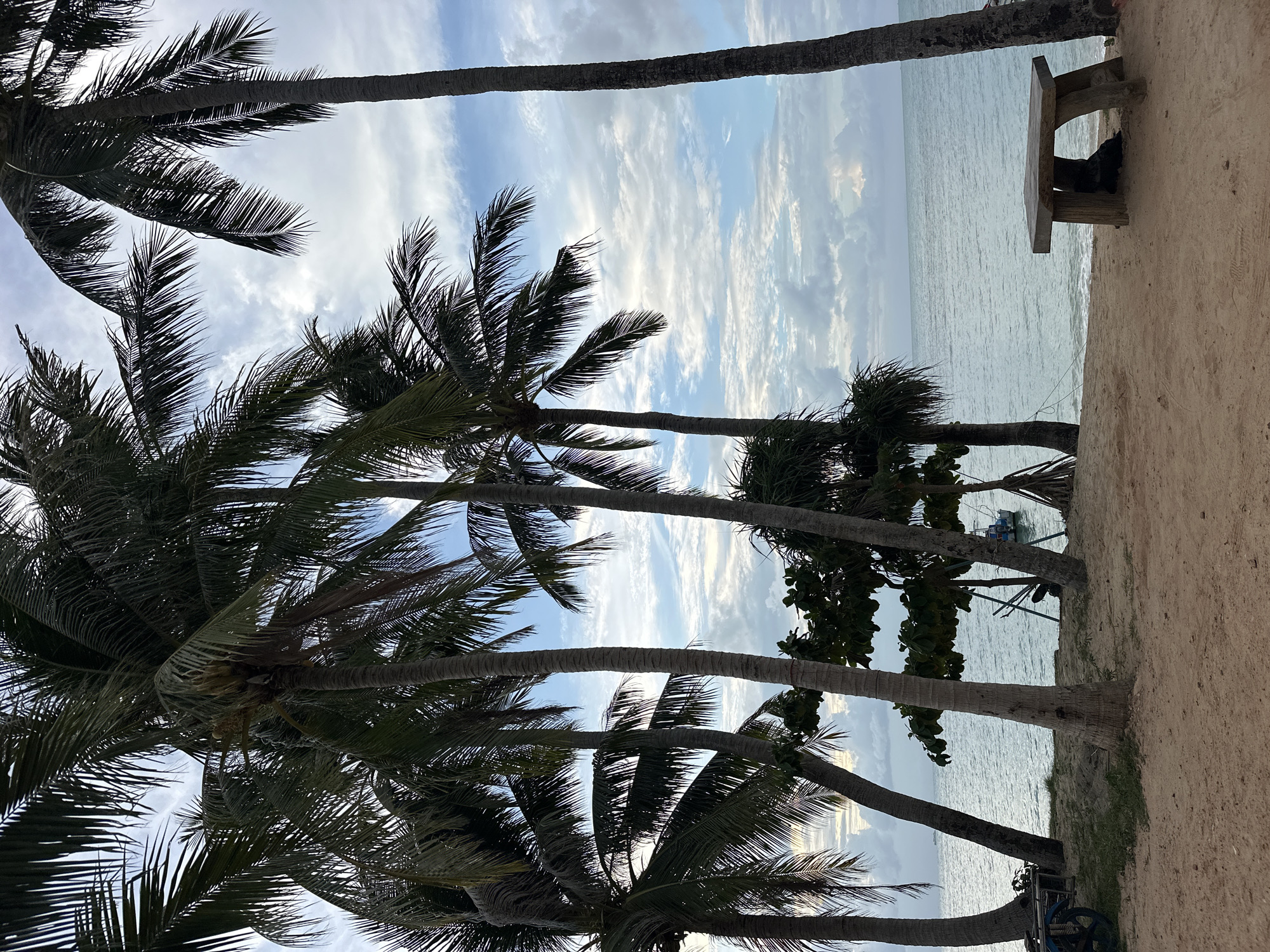 A group of palm trees frame a view of the ocean and a cloudy sky. In the foreground, there is a sandy beach with a concrete table and bench. A small boat is visible in the distance on the water. The scene appears to be located in Ko Samui District, Thailand. There are no people visible in the image.