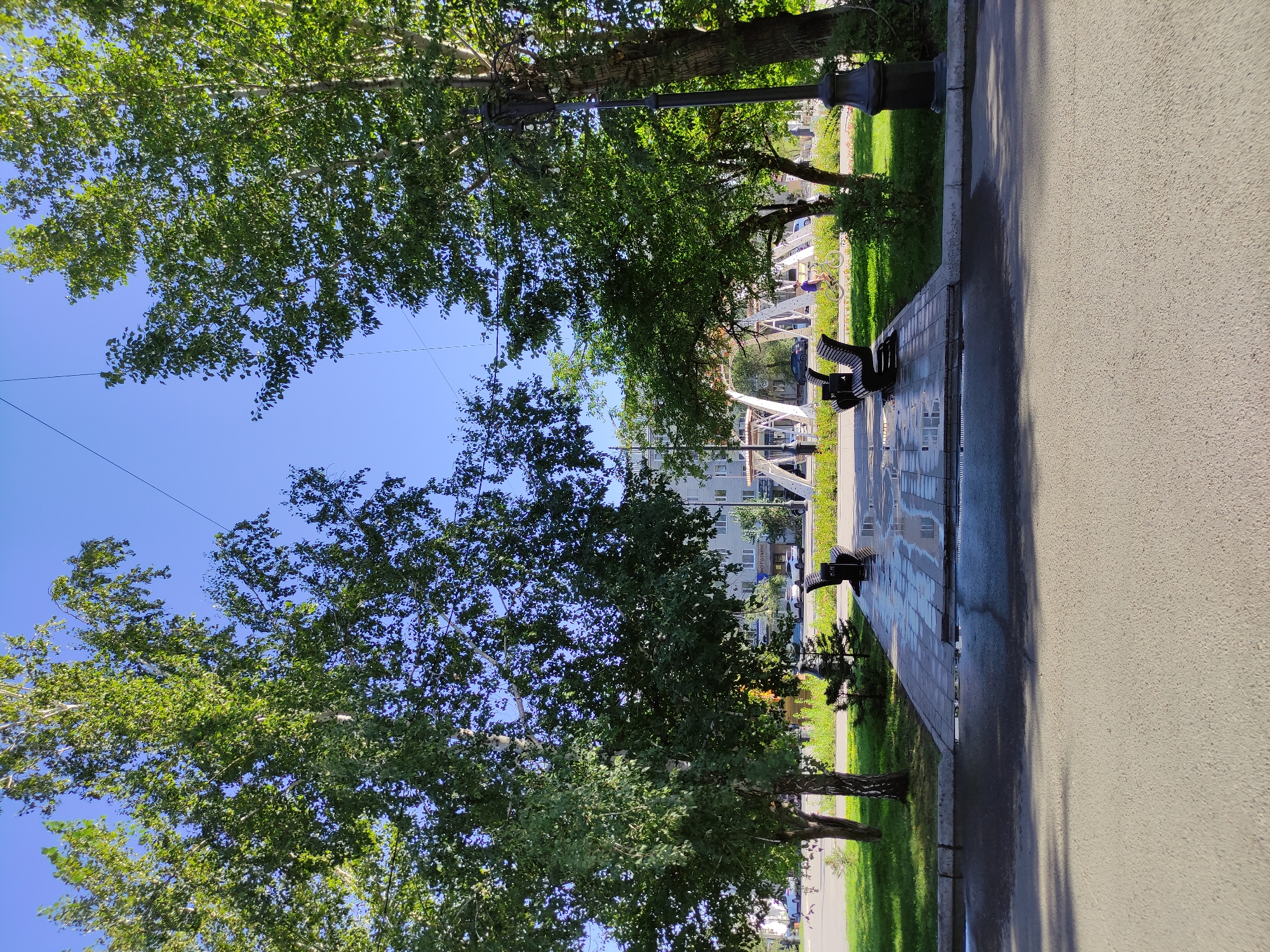 The image shows a view of a city park on a clear, sunny day. The park features a paved walkway with several benches, some of which are wet, suggesting recent rain. Tall, leafy trees line the walkway, with one on the right featuring a lamppost. In the background, there's a modern architectural structure, possibly a playground or a decorative element, with a building behind it. Cars and a person on a bicycle are visible in the distance. The scene is consistent with a public park in the city of Semey, Kazakhstan.