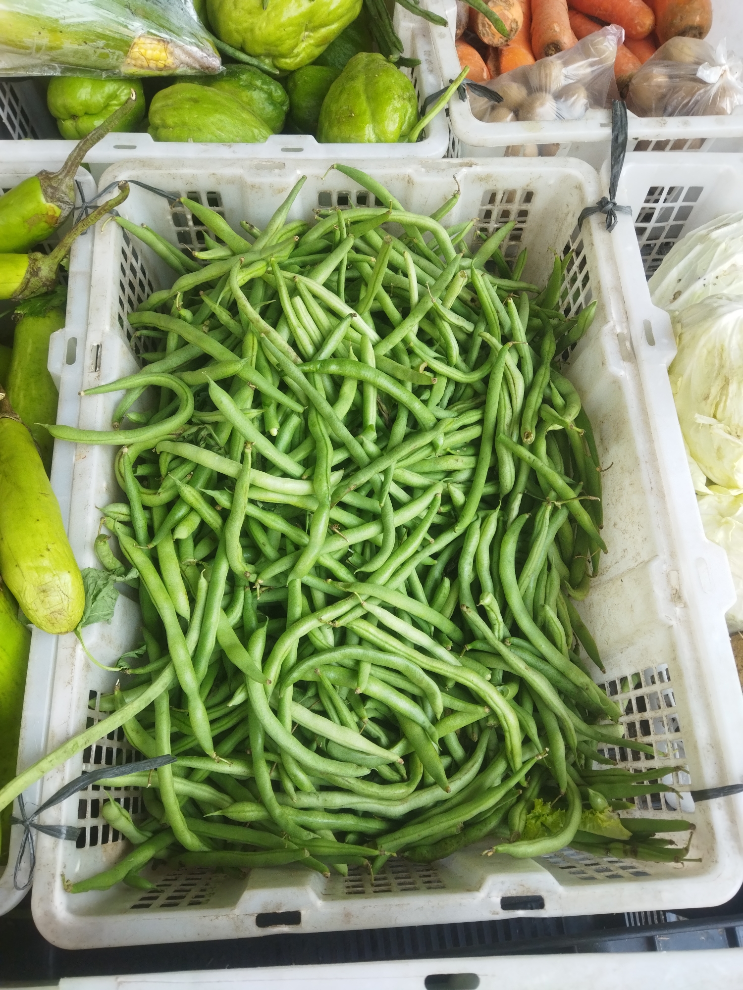 The image shows a top-down view of a white plastic crate overflowing with fresh green beans. The beans are the primary subject, filling the crate from edge to edge and piled high. Some beans are straight, while others are curved. The crate is positioned on a black surface, likely a market stall or countertop.
Surrounding the crate, other produce is visible. To the left of the crate, parts of elongated, light green vegetables are present, possibly gourds or chilies. Above the crate, in other white crates, are various other vegetables, including light green chayotes, and in the background, there are carrots and some bagged items that could be potatoes or other root vegetables. A small amount of what appears to be cabbage is visible to the right of the crate.
The scene suggests a market setting, likely a produce stall in Wonogiri, Indonesia, given the context provided. The lighting is consistent with outdoor or well-lit indoor conditions, illuminating the fresh produce. There are no people or any visible actions taking place; the focus is entirely on the arrangement of the vegetables. The overall impression is one of abundance and freshness in a market environment.