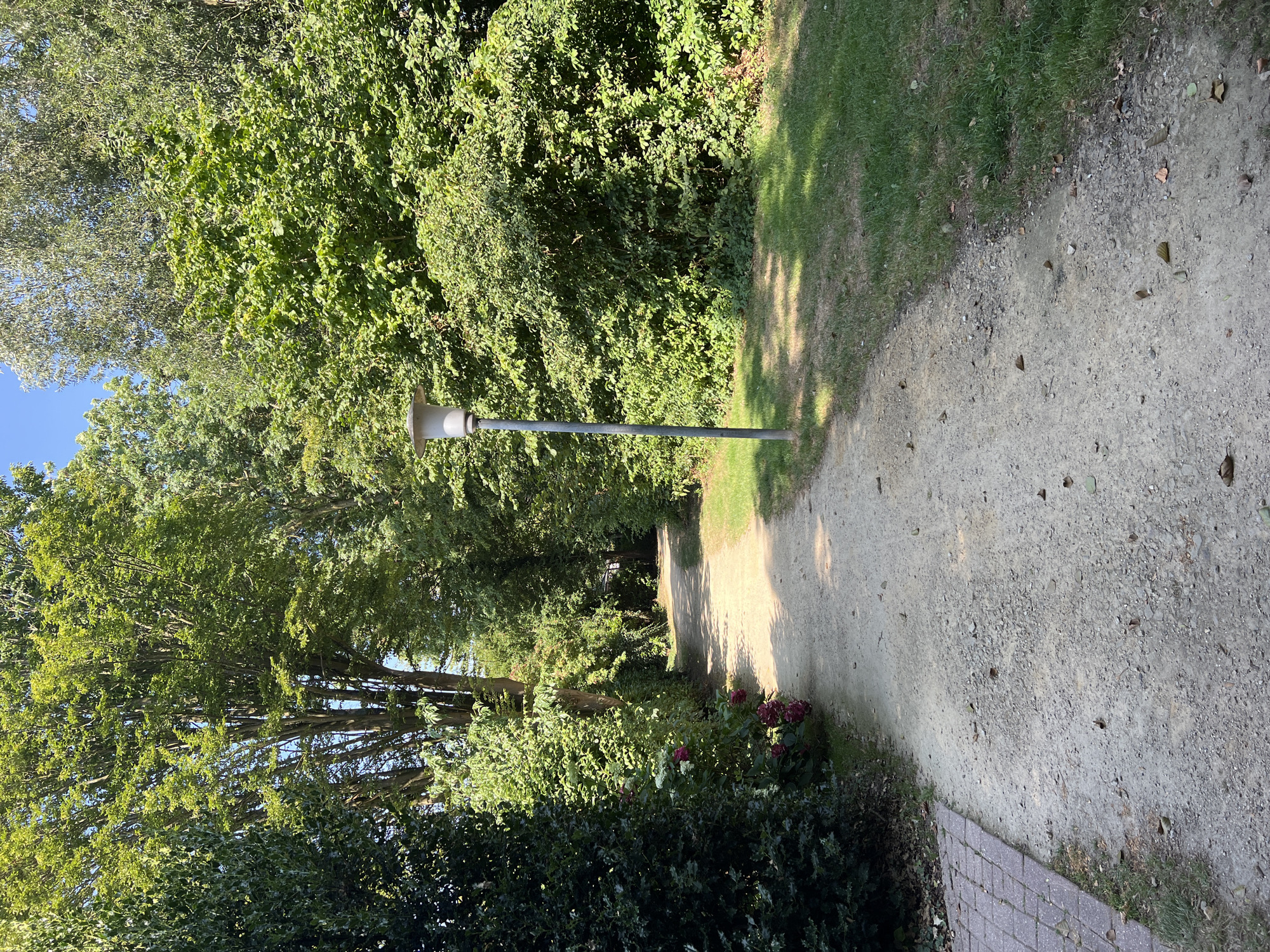 An outdoor, eye-level, vertical shot features a light-colored gravel path winding through a verdant, tree-lined park. The path is bordered on the left by a dense, dark green hedge and a small section of red brick paving, and on the right by a strip of manicured green grass. The path itself is scattered with small pebbles and fallen leaves, casting dappled shadows from the surrounding trees. Midway up the path, a solitary, gray lamppost stands on the right side of the path, its modern, cylindrical head facing forward. The path leads into the distance, disappearing into a tunnel of lush green foliage under a bright blue sky. The overall impression is one of a peaceful, sun-drenched day in a park.