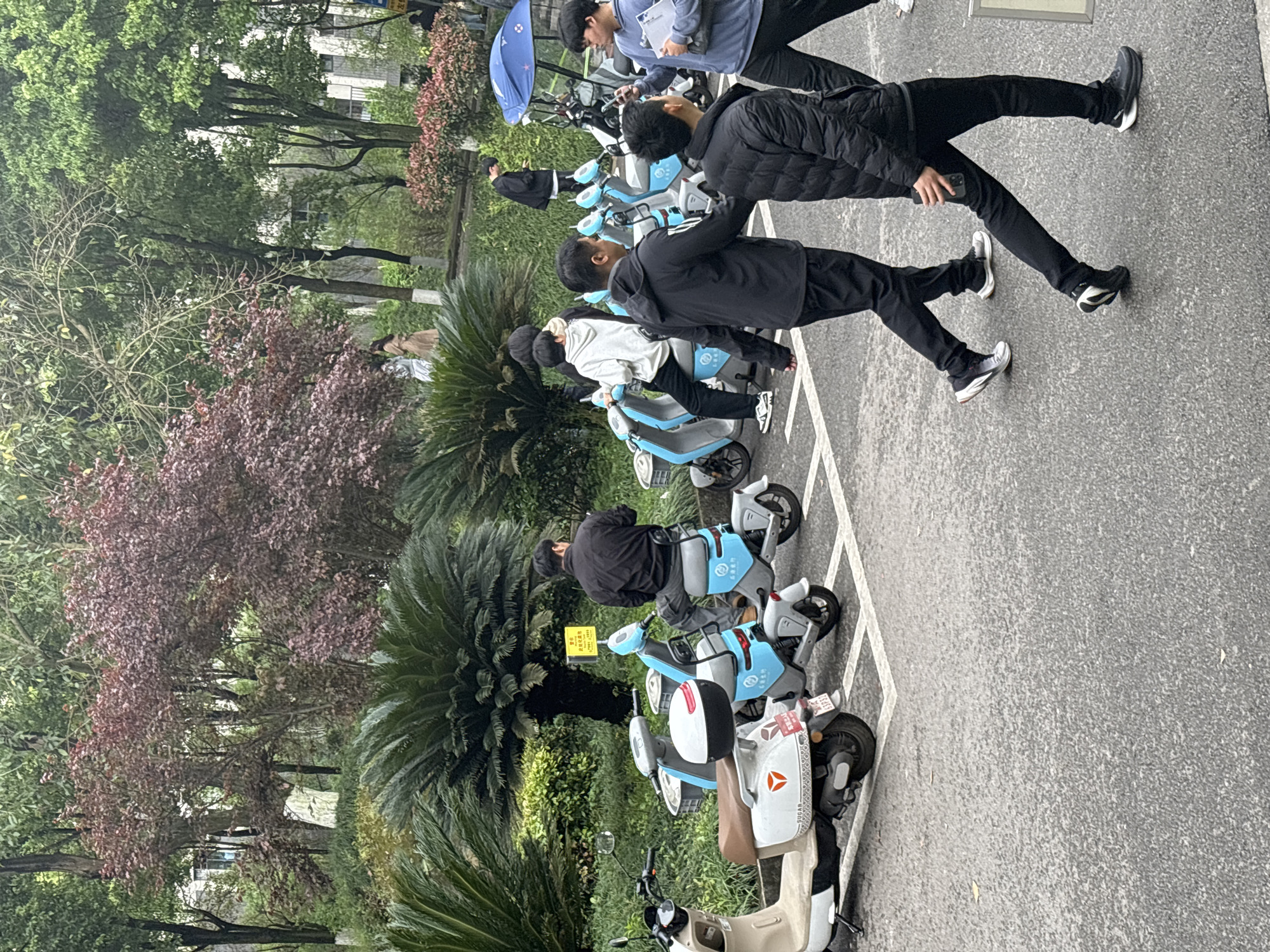 The image depicts a row of parked electric scooters in Jiangjin, China. Several people are standing near the scooters. Most of the people are young men. The background includes trees and greenery, suggesting a park or campus setting. The weather appears overcast, and the ground is paved. The scooters have a light blue and white color scheme.