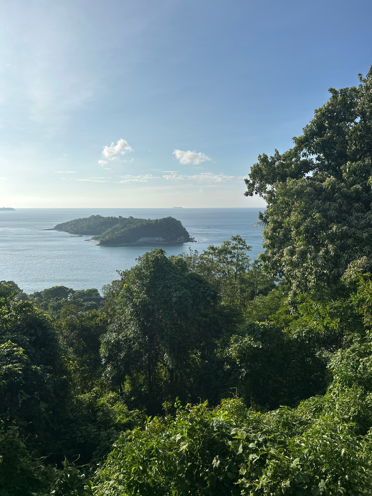 The image captures a scenic view from a high vantage point overlooking a body of water and a distant island. In the foreground, lush green foliage dominates, with dense trees and vines creating a natural frame for the scene. Beyond the vegetation, the tranquil blue ocean stretches out, meeting a clear sky with a few scattered white clouds. A prominent, tree-covered island with a sandy cove is visible in the middle ground, appearing to be part of the Sabang region in Indonesia, given the context. The overall impression is one of natural beauty and serenity, with the island serving as a focal point against the vastness of the sea and sky.