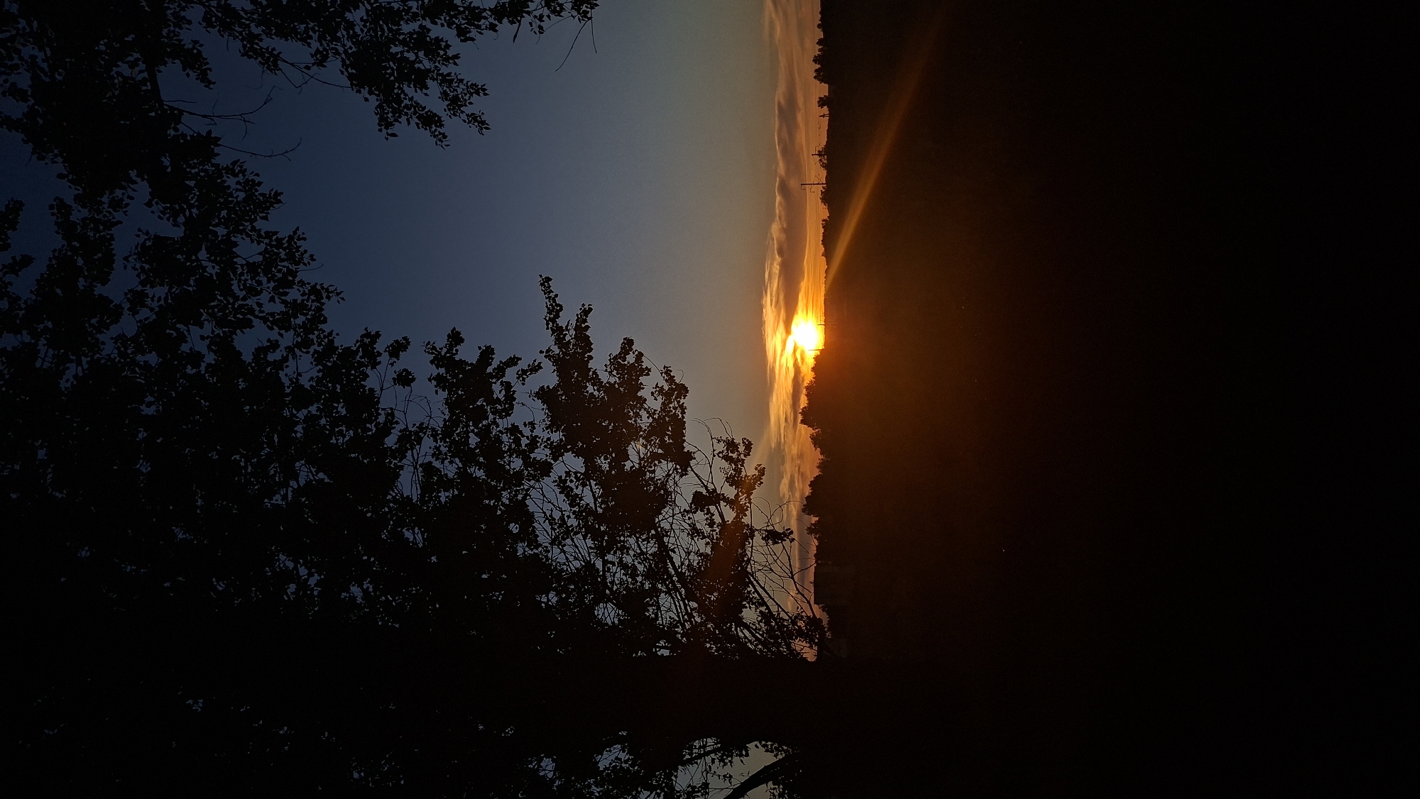 The image captures a serene sunset scene in the area of Забалоцкі сельскі Савет, Belarus. Silhouetted against a gradient sky of deep blue transitioning to orange, a line of trees forms the horizon. The sun, a bright orb, is partially obscured by the trees, casting warm rays across the landscape. In the foreground, the dark silhouette of a large tree with spreading branches frames the upper left of the image, while another cluster of branches from a different tree borders the upper right. The ground is a dark, indistinct mass, suggesting it is a field or open area. The overall impression is one of natural beauty and tranquility during twilight.
