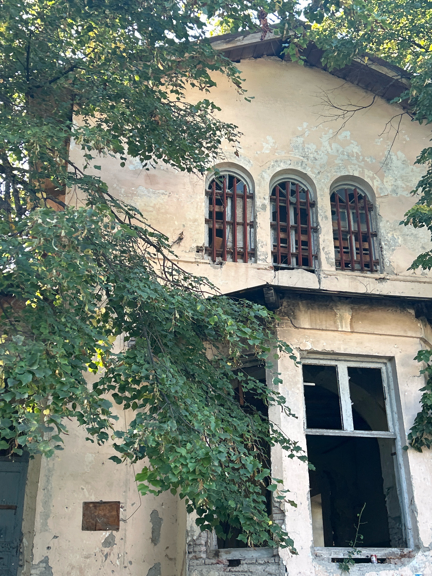 A partially overgrown, derelict building stands under a canopy of green leaves in Shalikiantkari, Georgia. The building's facade is weathered, with peeling paint revealing underlying plaster. Three arched windows, each with vertical wooden bars and broken glass, are visible on the upper level. A large, open window with a broken pane is on the lower level, revealing the dark interior. The lower section of the building shows exposed brickwork and debris. A green door is visible on the far left.