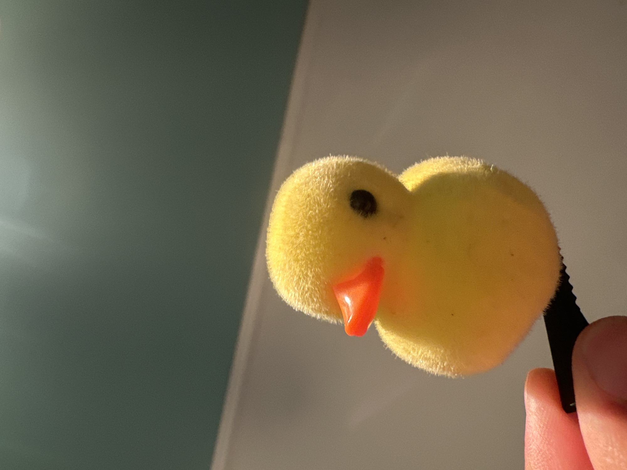 A fuzzy yellow toy duck with an orange beak and a black eye is held by a person's fingers, which are partially visible at the bottom left of the image. The duck is positioned in the foreground, against a blurred background that transitions from a light gray to a darker teal color towards the top. The lighting suggests an indoor setting, possibly near a window, with a bright light source creating a glint on the duck's beak and illuminating its fluffy texture. The background appears to be a wall and possibly a ceiling, with a subtle shadow line visible where they meet. There is no indication of the city of Тайгараев, Kyrgyzstan, within the image.