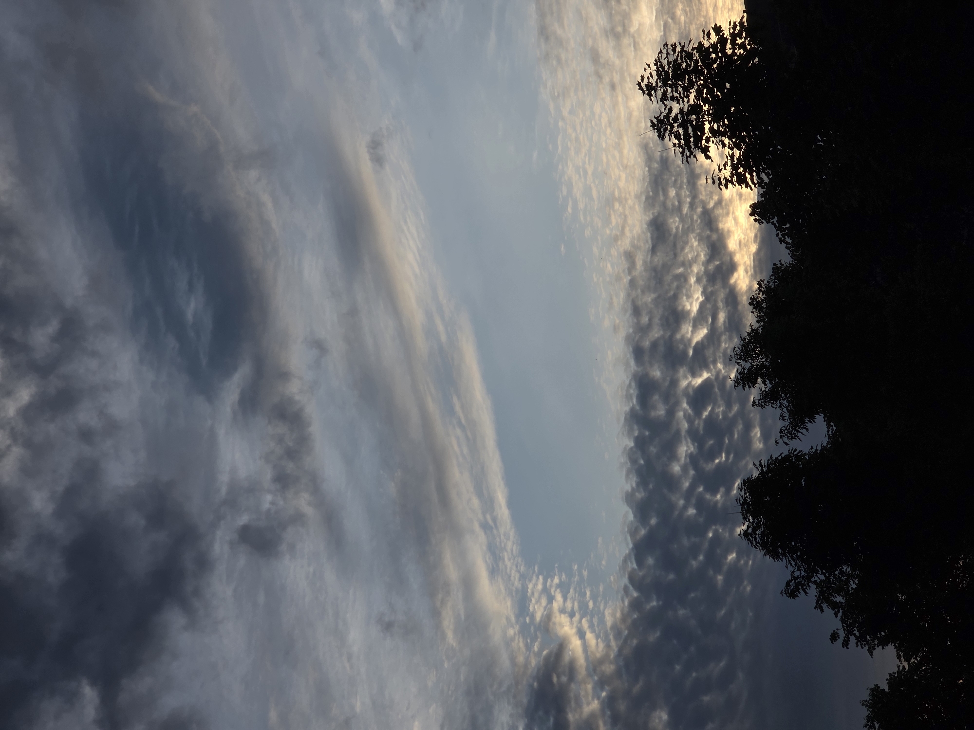 The image captures a sky scene at either dawn or dusk over an unknown location. The upper portion of the sky is dominated by dark, dense stratocumulus clouds, appearing in shades of deep grey and slate blue. A distinctive, lighter circular or oval-shaped break in these clouds is visible towards the top-middle-right. Below this, an irregular, clear patch of pale blue sky is visible, opening towards the right side of the frame. This clear patch is bordered by lighter, wispy clouds that gradually transition into a denser layer of patterned altocumulus clouds towards the horizon. These lower clouds, forming a ripple-like or textured pattern, are illuminated from beneath by a soft, golden-orange light, suggesting the presence of a low sun just below the visible horizon. The bottom approximately one-fifth of the image consists of the dark, silhouetted forms of numerous deciduous trees, their foliage densely packed. The branches and leaves of the trees on the right are more sharply defined against the brighter illuminated sky, while those on the left merge into a darker, less distinct mass. No people, animals, or discernible man-made structures are distinctly visible within the frame. The overall light condition indicates twilight hours.