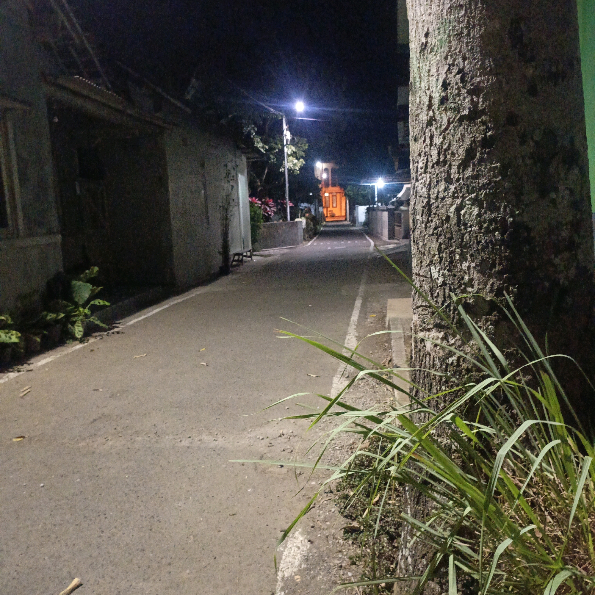 The image depicts a street scene at night in Salatiga, Indonesia. A paved road runs through the middle of the frame, with buildings and vegetation on either side. A large tree trunk is prominently positioned on the right side of the image, its rough bark textured and illuminated by artificial light. In the foreground, blades of grass grow along the edge of the road. The road is marked with a white line and appears to be a residential or local street. Streetlights illuminate sections of the road and buildings, casting shadows and creating a somewhat dim and atmospheric environment. In the distance, an orange-hued building or structure with illuminated windows is visible, suggesting a point of interest or a dwelling. The overall impression is of a quiet, dimly lit street in an Indonesian city at night.