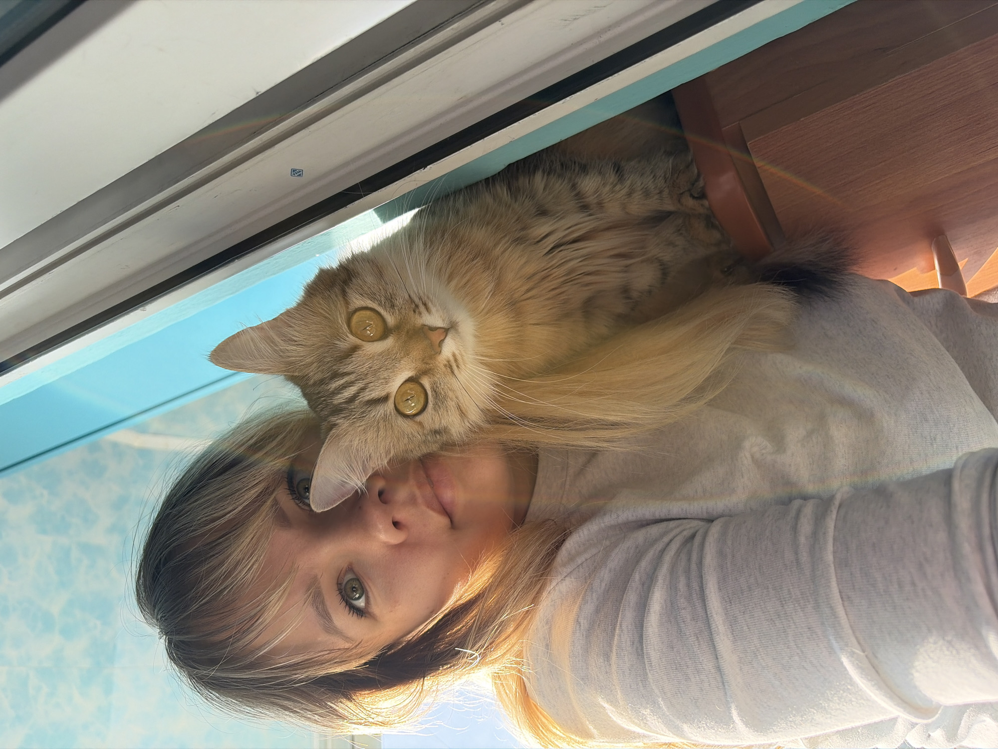 The image presents a close-up, upward-angled portrait of a young woman and a fluffy cat, captured in Chaikovsky, Russia. The scene is set indoors, beside a bright window that reveals a clear blue sky with some scattered white clouds outside.
The main subjects are a woman with blonde hair and green eyes, and a light brown and ginger tabby cat with striking yellow-green eyes. The woman wears a light-colored, long-sleeved top. Her face is positioned towards the bottom of the frame, with the cat's head resting intimately beside and slightly above hers. The cat gazes directly into the camera with an intense, curious expression, while the woman's face shows a calm, neutral demeanor, possibly with a hint of a smile.
Strong daylight illuminates the scene, creating a subtle rainbow-colored lens flare visible across the woman's arm and near the window frame, suggesting the sun is shining directly in. A white window frame and a dark wooden surface, possibly a shelf or table, are partially visible in the background. A small, square-shaped symbol or sticker is faintly visible on the white window frame, but no discernible text can be read. The overall atmosphere is intimate and cozy, capturing a serene moment between the woman and her feline companion under bright, natural light.