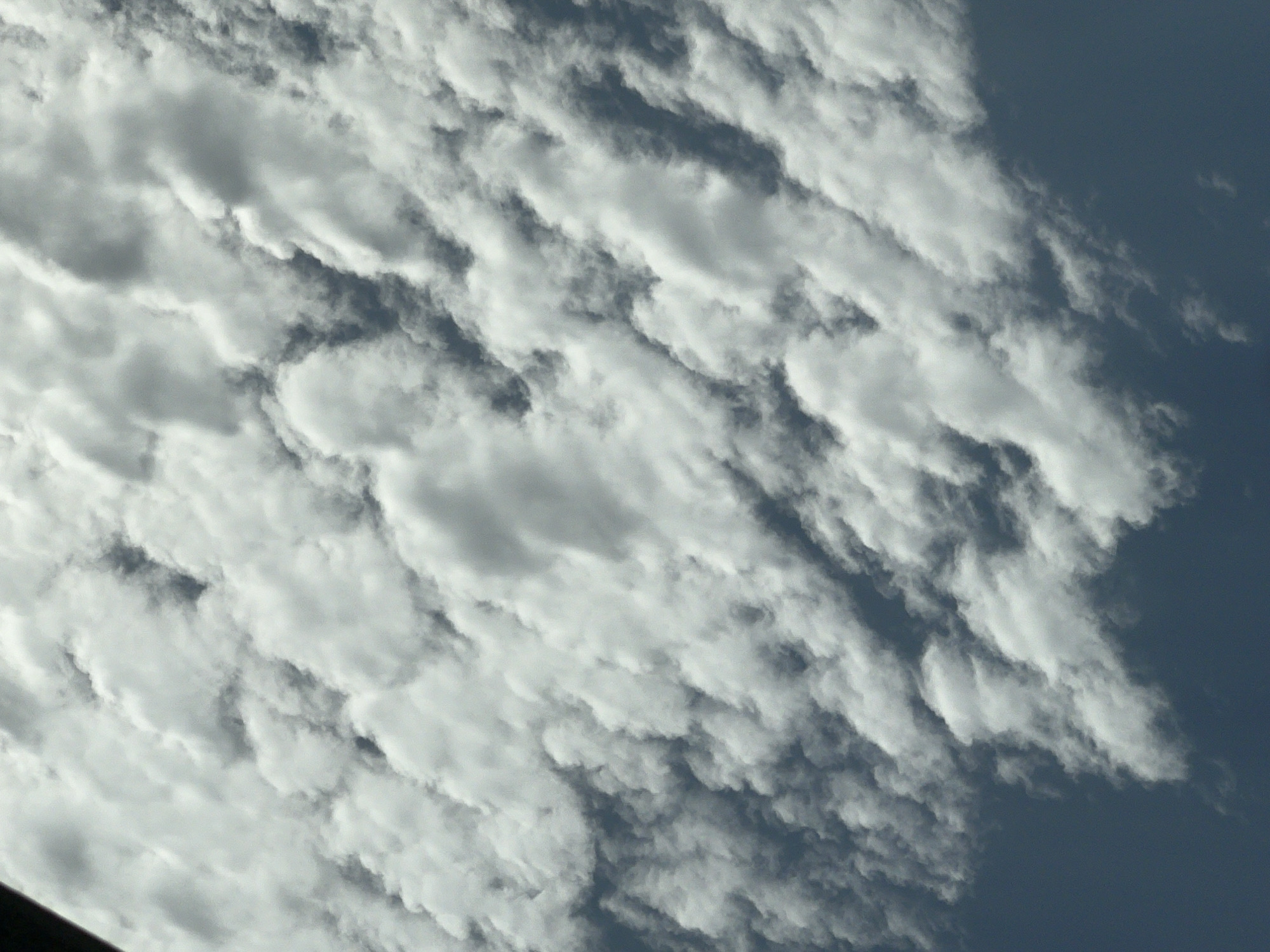 This is a close-up, high-angle aerial photograph of a cloudy sky. The image is dominated by dense, textured white clouds that appear to be stratocumulus or altocumulus formations. Sunlight is filtering through the clouds, creating variations in brightness and shadow, giving the clouds a voluminous and puffy appearance. The sky beneath the clouds is a deep, dark blue, suggesting the photograph was taken during daylight hours. There are no visible human subjects, man-made structures, or specific landmarks that would indicate a location within Warsaw, Poland. The image captures a natural atmospheric phenomenon.