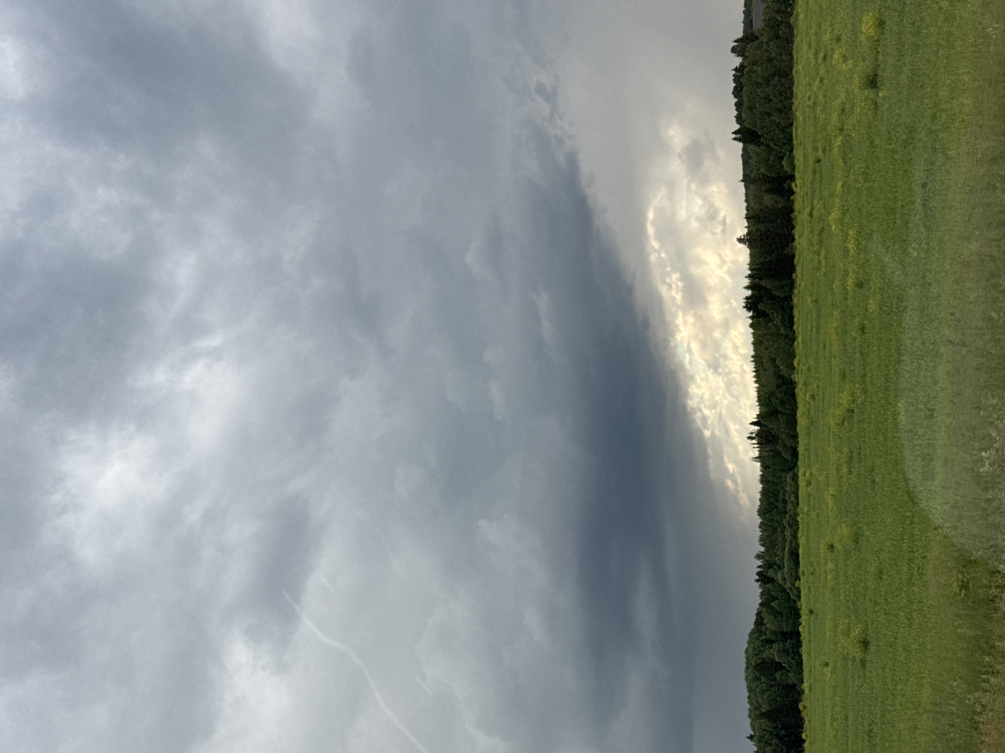 This media file depicts a natural landscape scene with dramatic cloud formations. The primary subjects are the sky and the land. The sky is filled with a variety of clouds, ranging from dark, stormy-looking masses on the left to brighter, more illuminated clouds on the right, suggesting a contrast in weather conditions or light intensity. A thin, bright line of light breaks through the darker clouds on the right side, creating a striking visual effect.
The land below consists of a dense, dark green forest that forms a distinct line across the mid-ground. Adjacent to the forest, to the right, is a vibrant green field, possibly a meadow or pasture, with scattered patches of lighter green or yellow, suggesting wildflowers or varied vegetation. The field extends towards the foreground, with a texture that indicates it is covered in grass.
The image appears to be taken outdoors, during what could be late afternoon or early evening, given the lighting. The weather appears to be transitioning, with a mix of dark, possibly heavy clouds and brighter sky visible. The location cues suggest a rural or natural setting, likely in Russia, specifically the village of Bikbarda, as indicated.
There are no visible people or objects in the frame, and no text is present. The overall mood evoked by the image is one of natural drama and perhaps a sense of anticipation due to the contrasting sky conditions. The composition, with the sharp division between the forest and the field against the dynamic sky, is visually arresting.