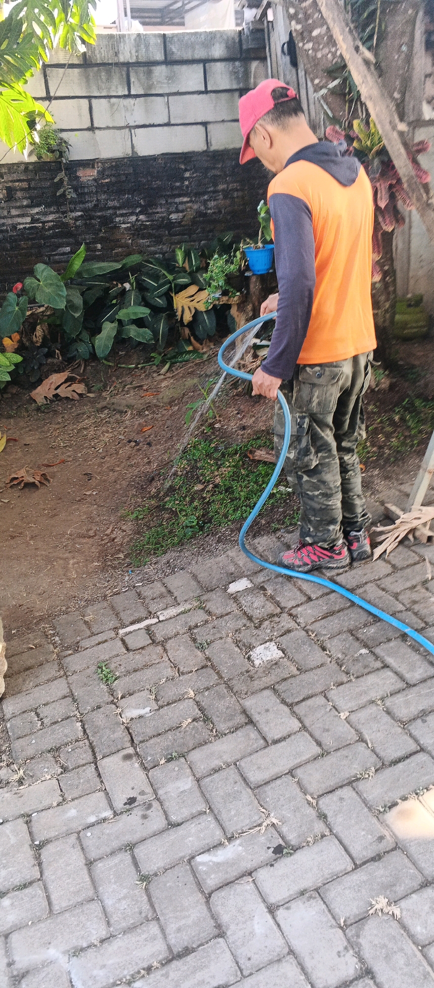 In the city of Bocek, Indonesia, a person wearing a red cap, an orange long-sleeved shirt with grey sleeves, and camouflage pants is watering plants with a blue hose. The person is standing on a paved walkway made of grey rectangular bricks. Behind the person, there is a low brick wall, some plants, and a tree trunk. The ground is a mix of dirt and grass. The lighting suggests it is daytime.