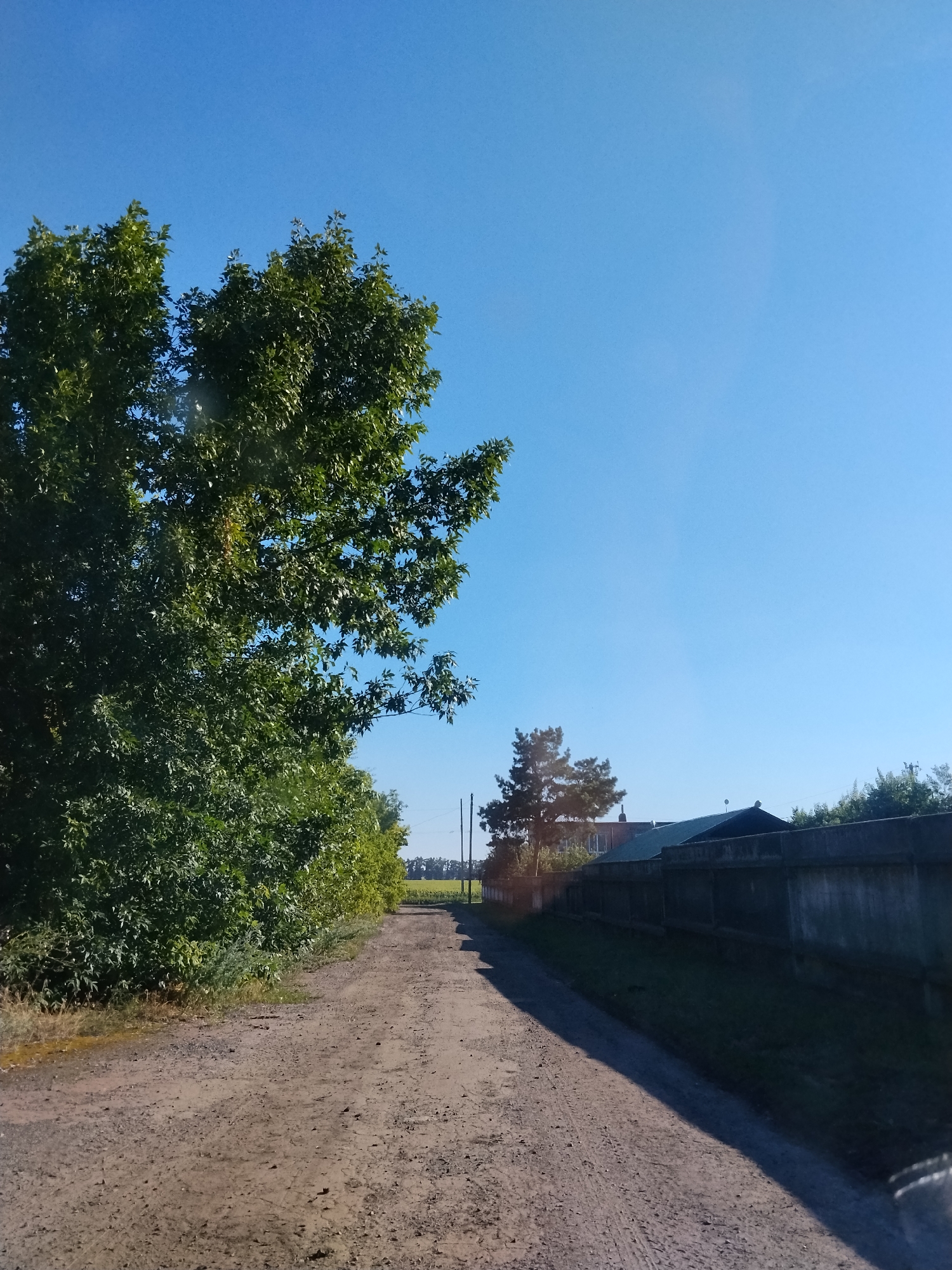 The image depicts a dirt road leading into the distance, bordered by lush green trees on the left and a grey concrete fence with buildings behind it on the right. The sky is a clear, vibrant blue. The scene appears to be a rural or semi-rural area, possibly on the outskirts of the village of Hoholeve, Ukraine, given the natural elements and the modest structures visible. The road shows tire tracks, suggesting it is used by vehicles. The lighting indicates it is daytime, with the sun casting shadows across the road.