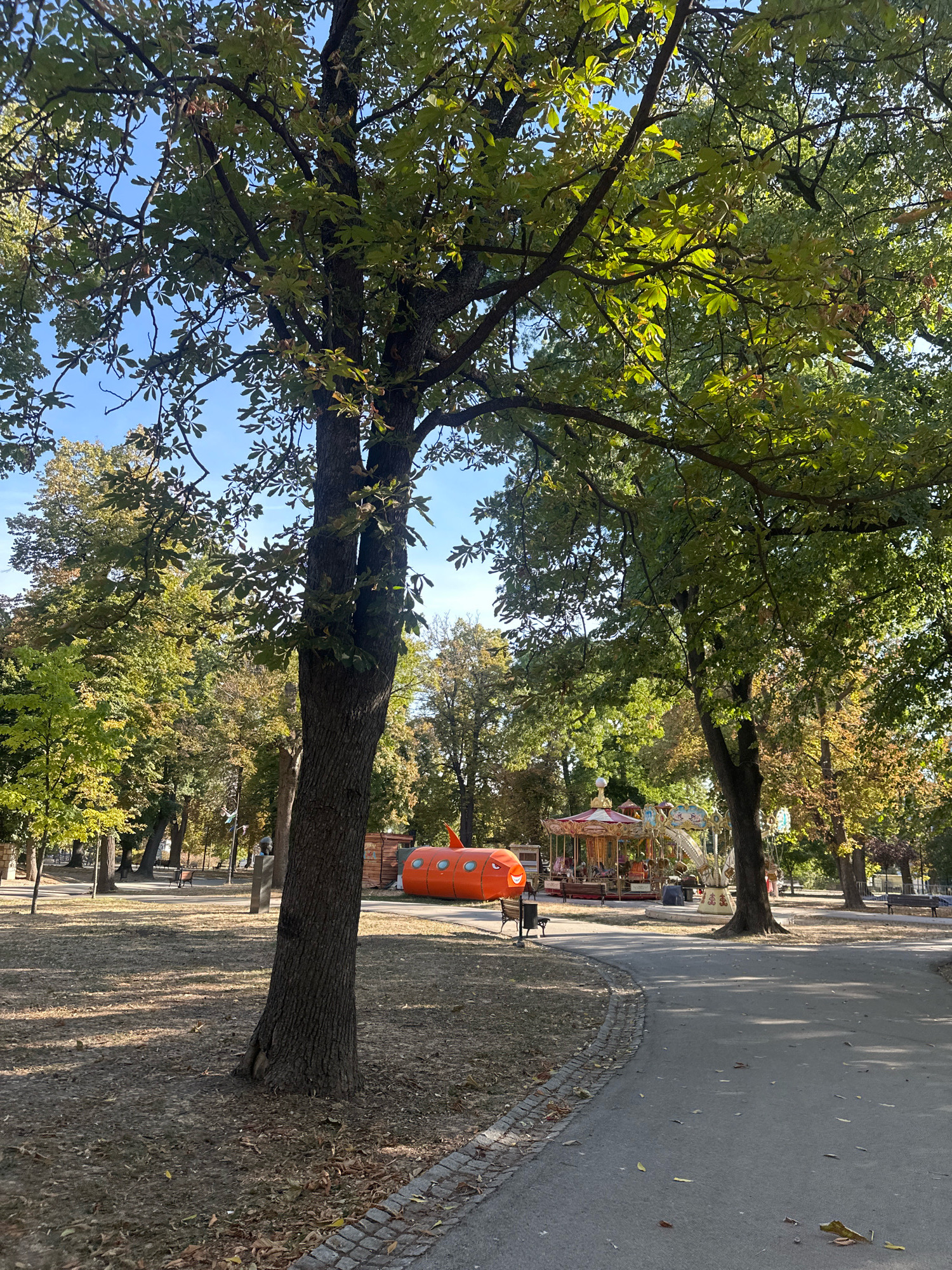 The image depicts a park scene in Belgrade, Serbia, likely during autumn, as indicated by the fallen leaves on the ground and the changing colors of the foliage. In the foreground, a paved pathway curves through the park. To the left of the pathway, a large tree with a thick trunk dominates the scene, casting shadows on the dry, leaf-strewn ground.
Further into the park, a bright orange, submarine-shaped structure with round windows and a fin is visible. Adjacent to it, a colorful carousel with various animals and seating arrangements is set up. Several benches are scattered throughout the park, some occupied by individuals. The background consists of more trees with varying shades of green and yellow leaves, and a clear blue sky. The overall atmosphere suggests a public recreational area, possibly a children's amusement park or a section within a larger park.