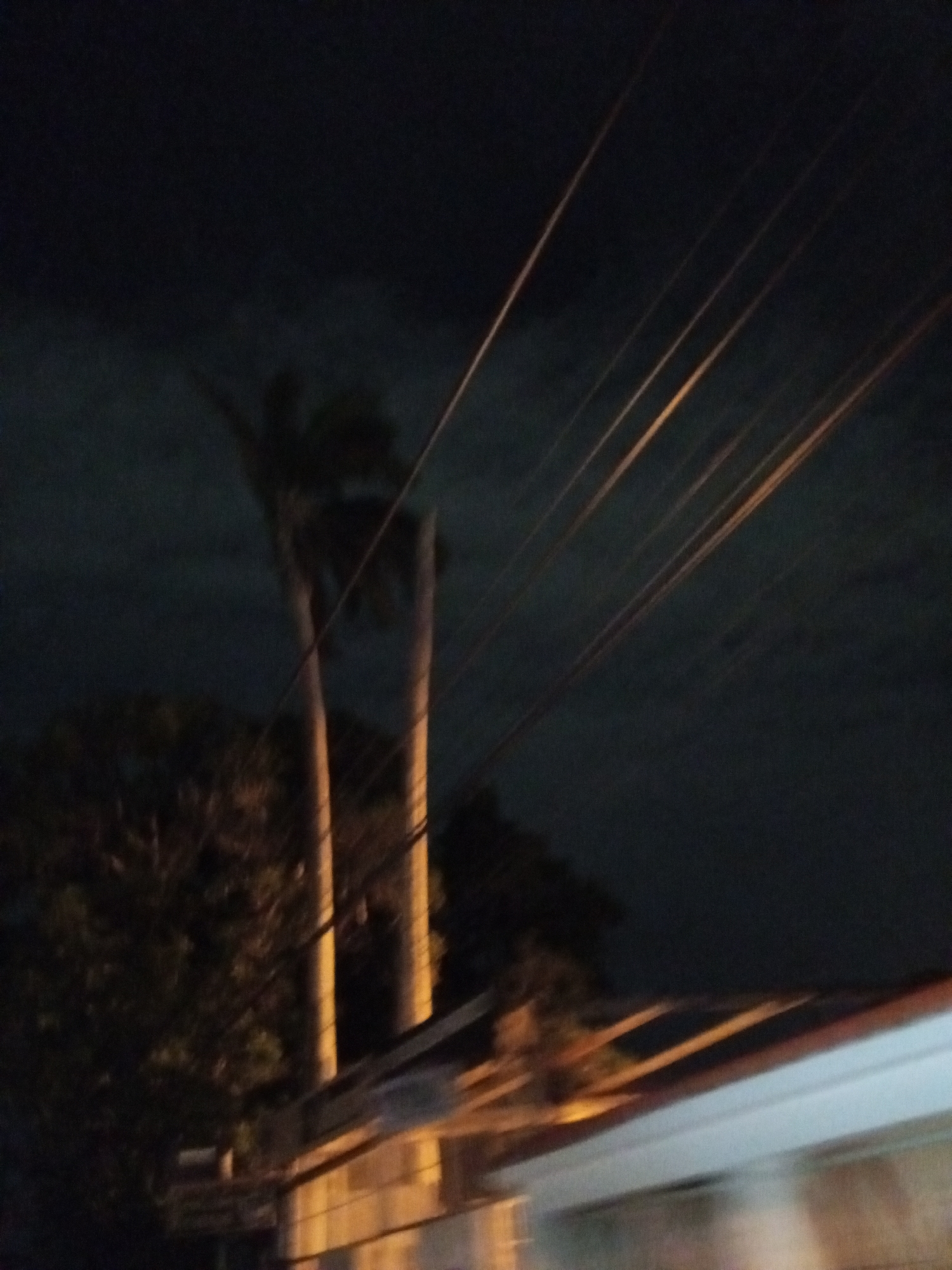 The image depicts a nighttime scene in Porlamar, Venezuela, characterized by a dark sky and artificially illuminated subjects. Multiple utility lines, glowing with an orange-yellow hue, stretch diagonally from the middle left to the upper right of the frame, showing signs of motion blur. Two prominent, slender palm tree trunks stand illuminated against the dark sky in the mid-left. Behind and to the left of the palm trees, dense, shadowy foliage is visible, with hints of green or brown where light catches. In the lower right, a blurred structure, possibly part of a building or a roofline/awning, features a bright white or light blue upper edge, and a lighter, textured surface below, which is also illuminated. The blur suggests the photograph was taken from a moving perspective. The absence of natural light, combined with the artificial illumination of objects, confirms the time of day as night or late dusk. There are no visible people or discernible weather conditions. No text is visible in the image.