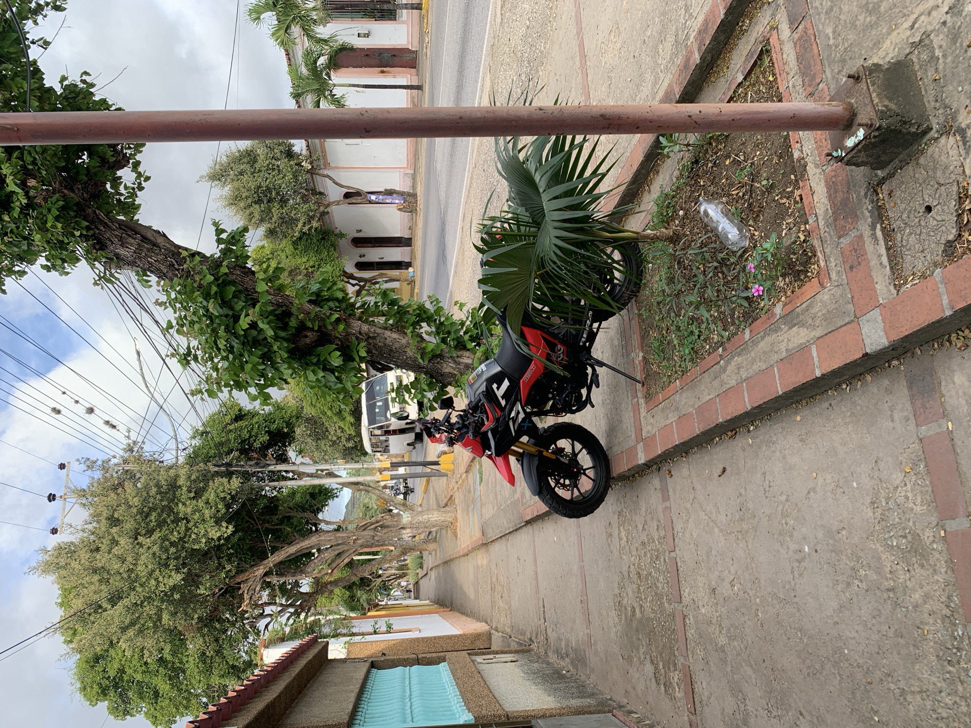 A red and black motorcycle is parked on a sidewalk next to a small garden with a palm plant and a plastic water bottle. The sidewalk is made of concrete with brick borders. In the background, there is a street with a white bus and trees lining the sidewalk. The buildings on the other side of the street are white with pink trim. The sky is cloudy. This scene is located in the city of Tacarigua, Venezuela.
