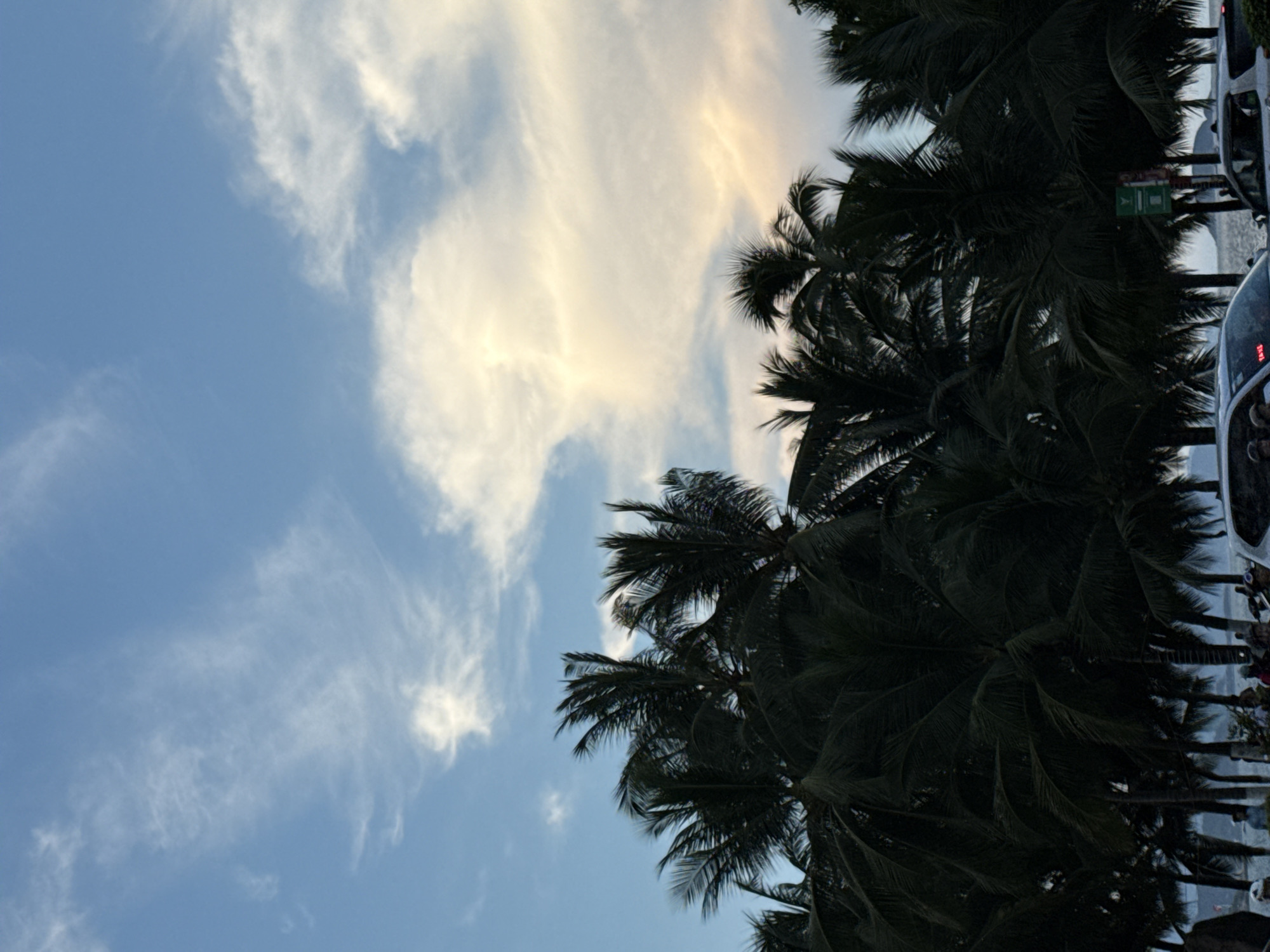 The image depicts a cloudy sky over a line of silhouetted palm trees. In the foreground, several vehicles, including white cars and possibly motorcycles, are visible. There are also some people present in the lower portion of the image, some of whom appear to be near or interacting with the vehicles. A green sign is also visible amongst the trees. The scene suggests a coastal area, possibly a street or promenade adjacent to the beach. The lighting indicates it is either early morning or late afternoon, with the sun partially illuminating the clouds, casting a warm glow on the right side of the sky. The overall atmosphere is casual and public, consistent with a location in Nha Trang Ward, Vietnam, known for its beaches and palm-lined streets.