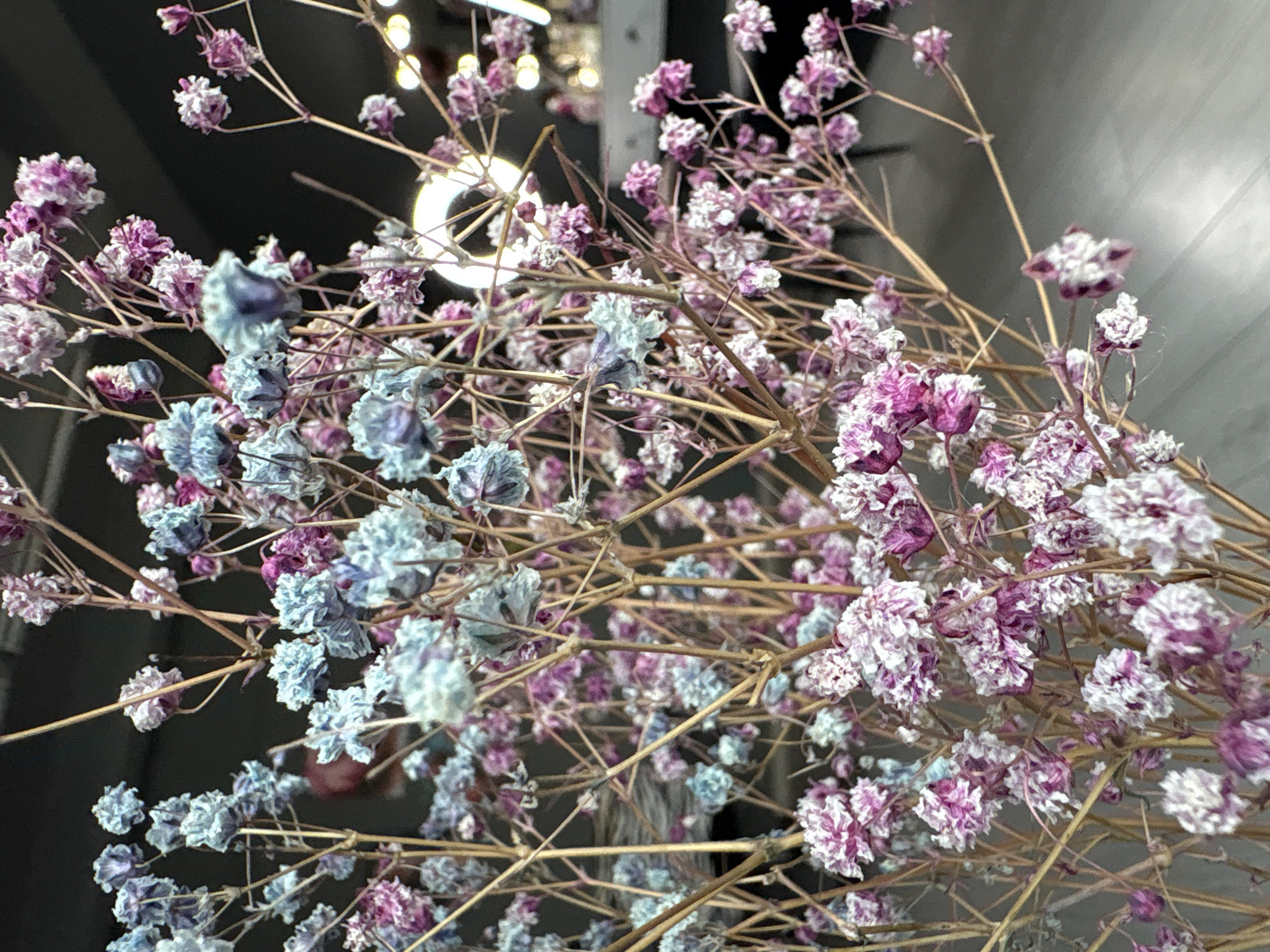 The image displays a close-up, overhead view of dried baby's breath flowers. The flowers are a mix of pale blue and pink hues, with delicate, small blooms clustered along thin, dry stems. The stems are thin and light brown, creating a tangled, intricate network. The background is mostly dark, with some blurred lights, possibly from indoor lighting or reflections. A faint, out-of-focus circular light fixture is visible in the upper left portion of the image. The scene appears to be an indoor setting, possibly a florist shop, a home with decorative flowers, or a studio environment focused on macro photography. There is no discernible activity or event taking place, as the image is a still life. No text is visible in the image. The lighting is soft and diffused, highlighting the texture and color of the dried flowers. The overall impression is one of delicate beauty and dried, preserved nature. The context of Minsk, Belarus, does not provide specific visual cues within the image itself.